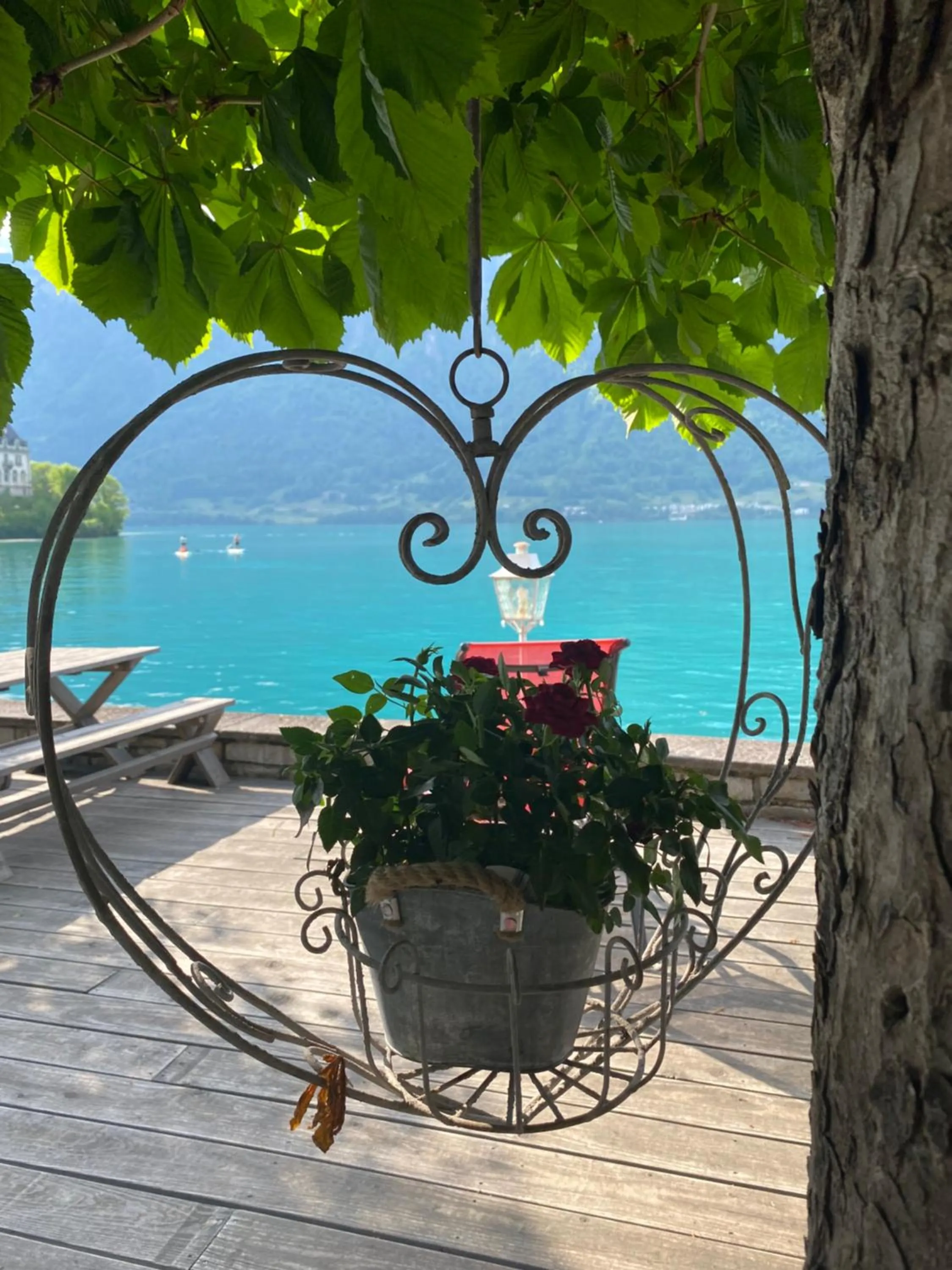 Day in Boutique Hotel Bellevue B&B am Brienzersee Iseltwald Interlaken