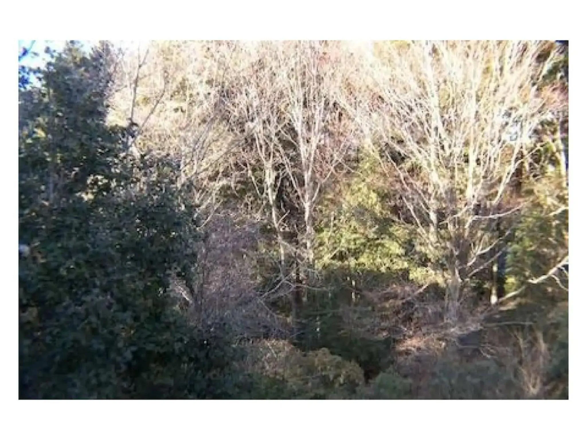 Trust Maison Sengokuhara - Vacation STAY 32251v