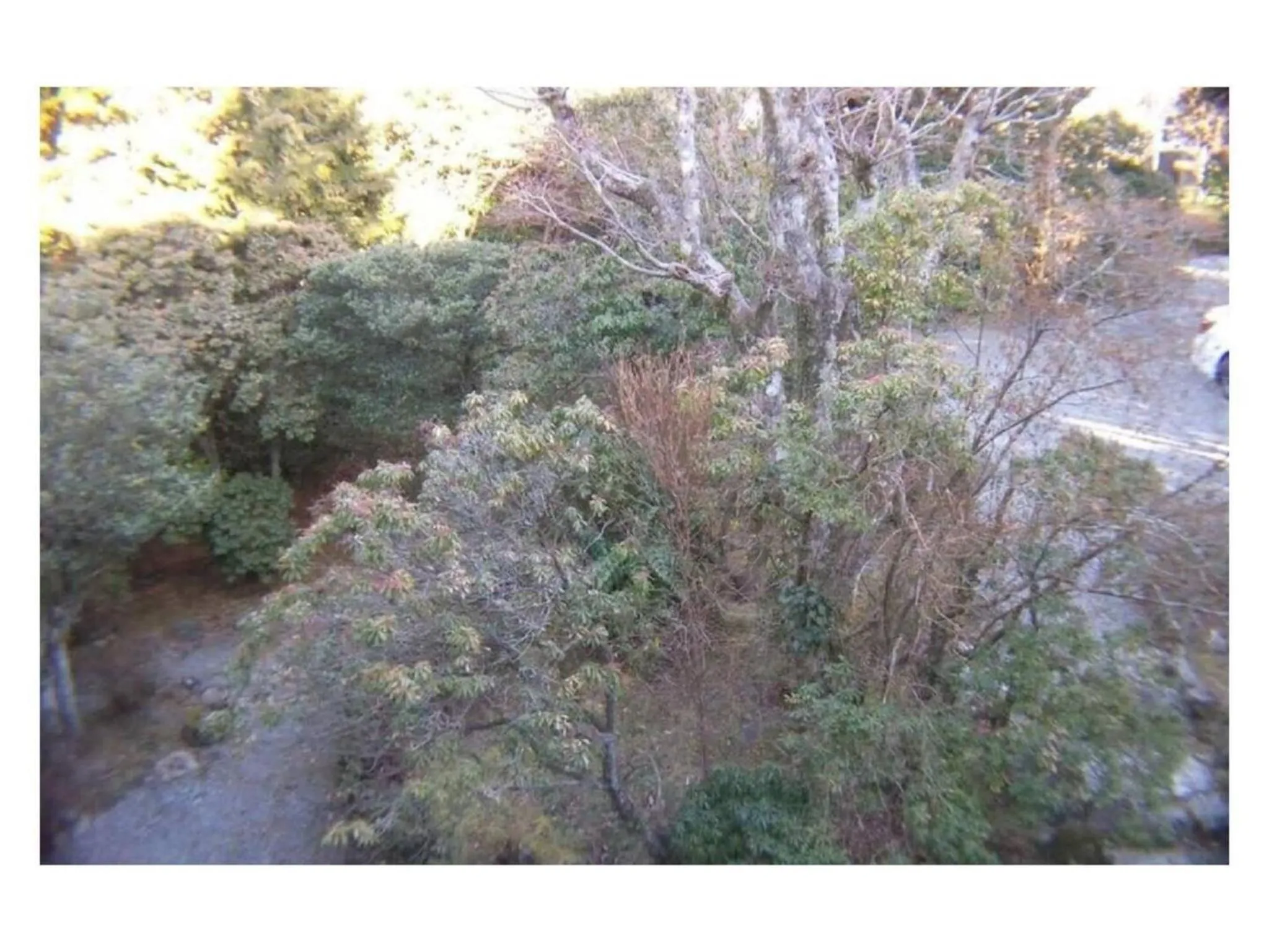 Trust Maison Sengokuhara - Vacation STAY 32251v