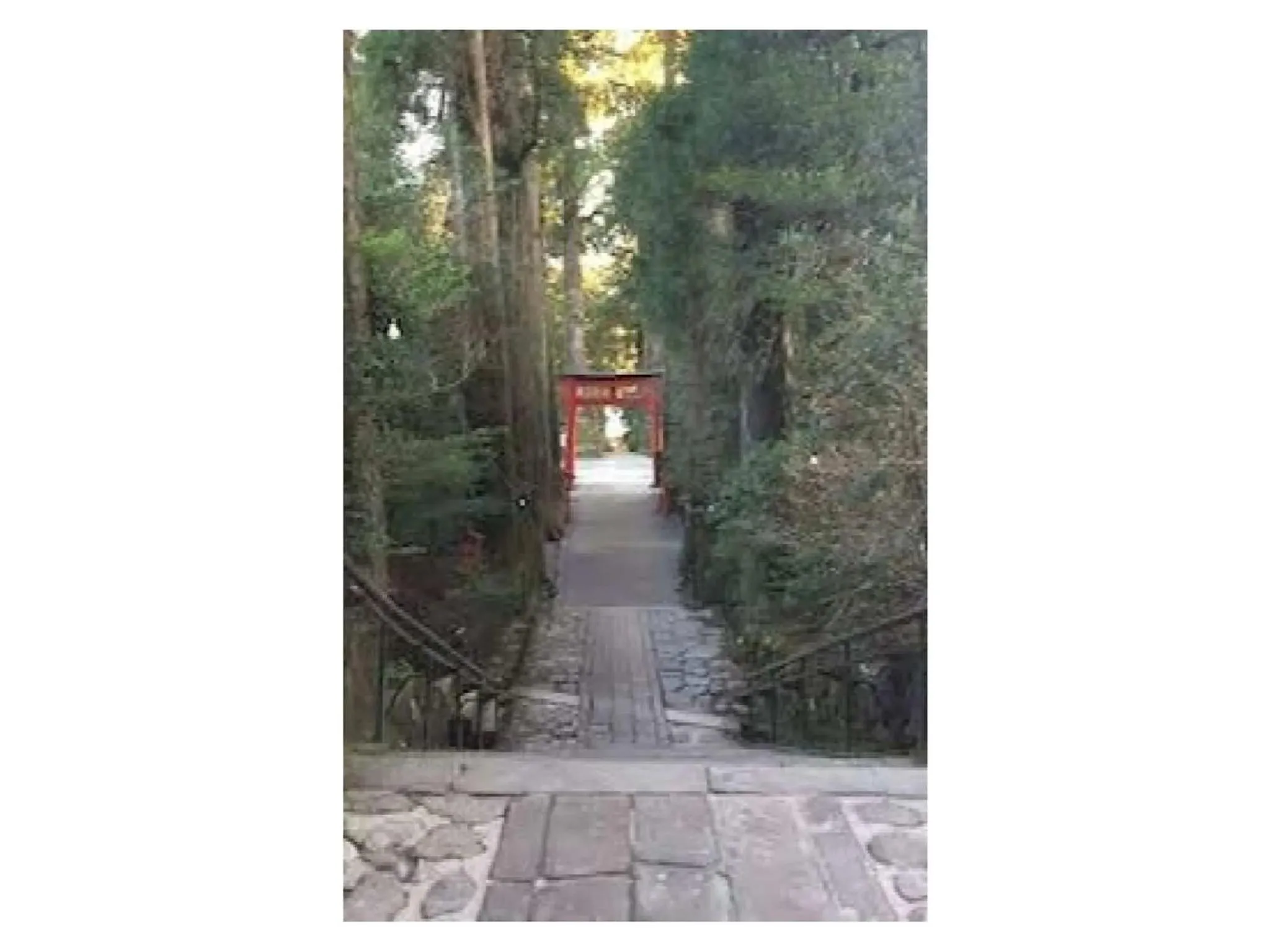 Trust Maison Sengokuhara - Vacation STAY 32251v