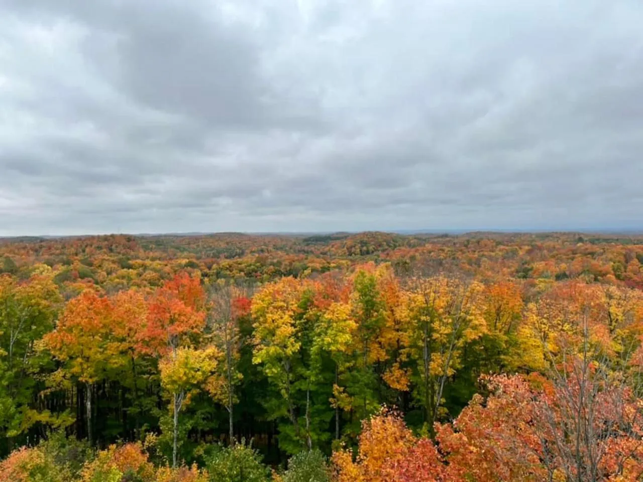 Nearby landmark in Camp 28