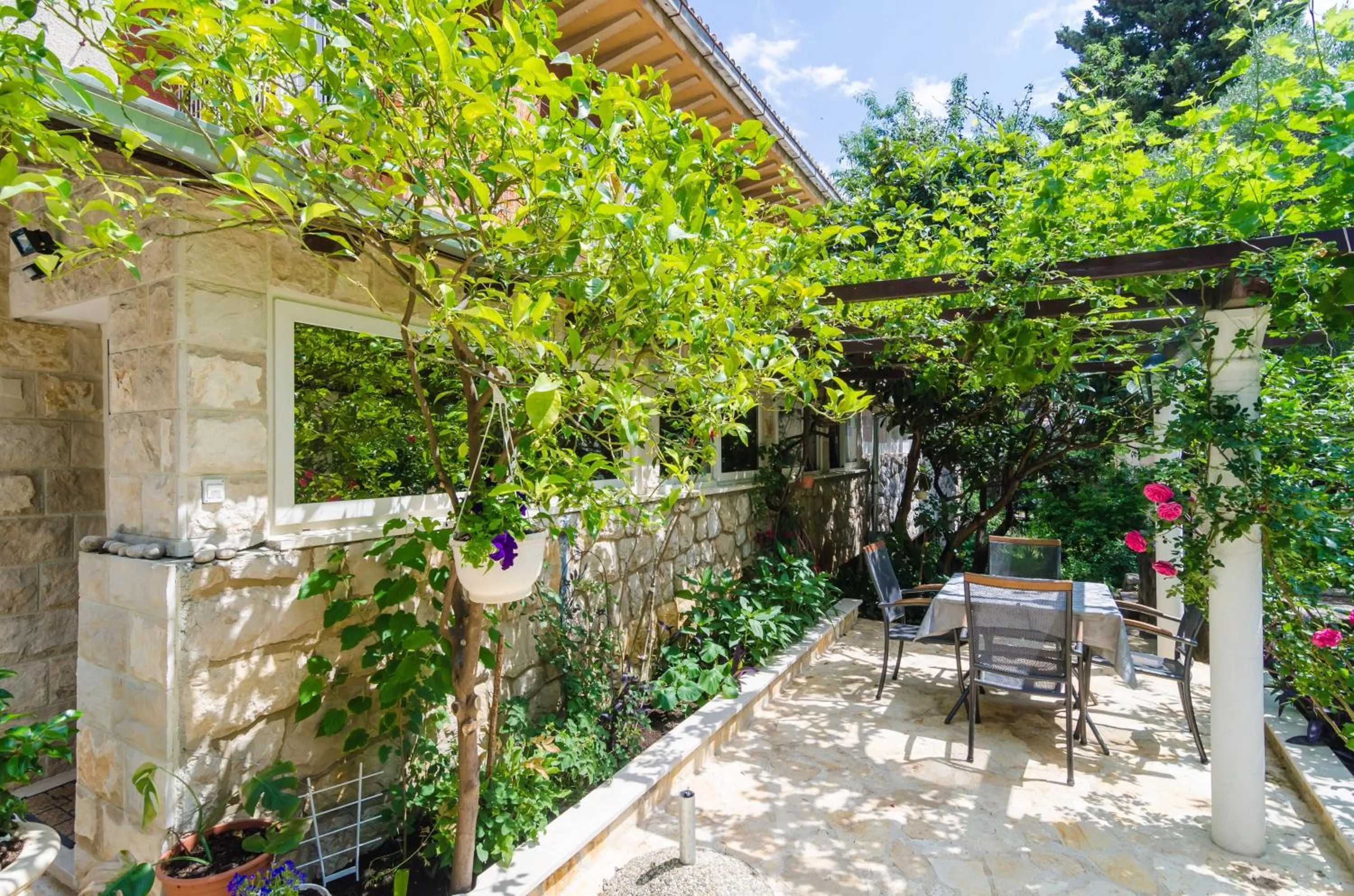 Patio in Camelia Luxury Apartments