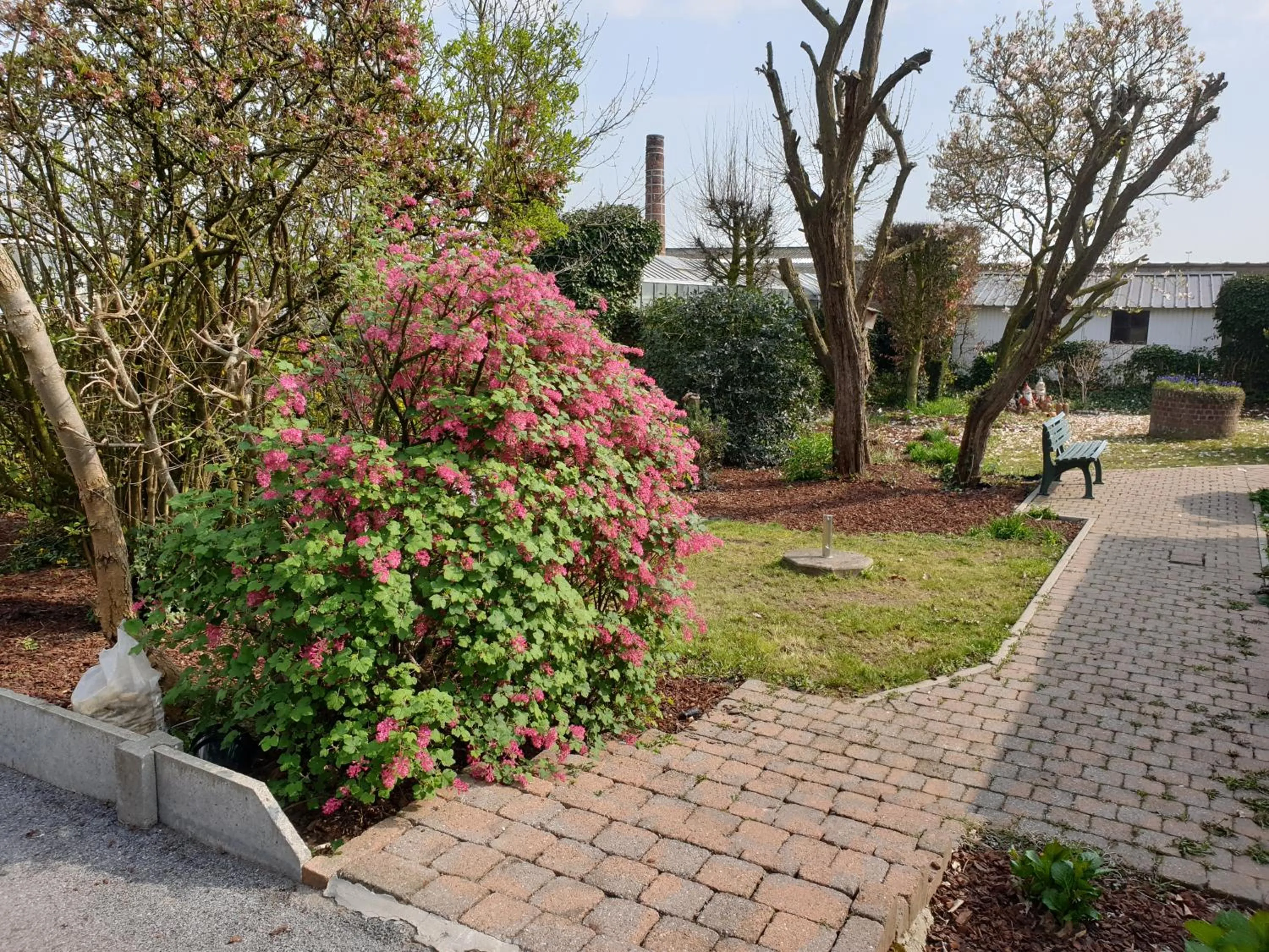 Garden in Hostellerie Daiseldaele