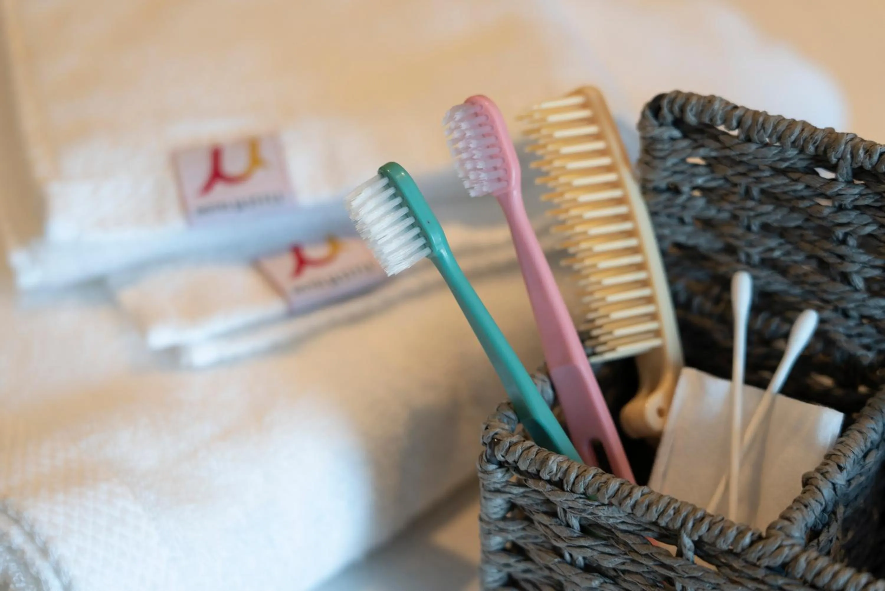 Photo of the whole room in HOTEL μ STYLE INUYAMA experience