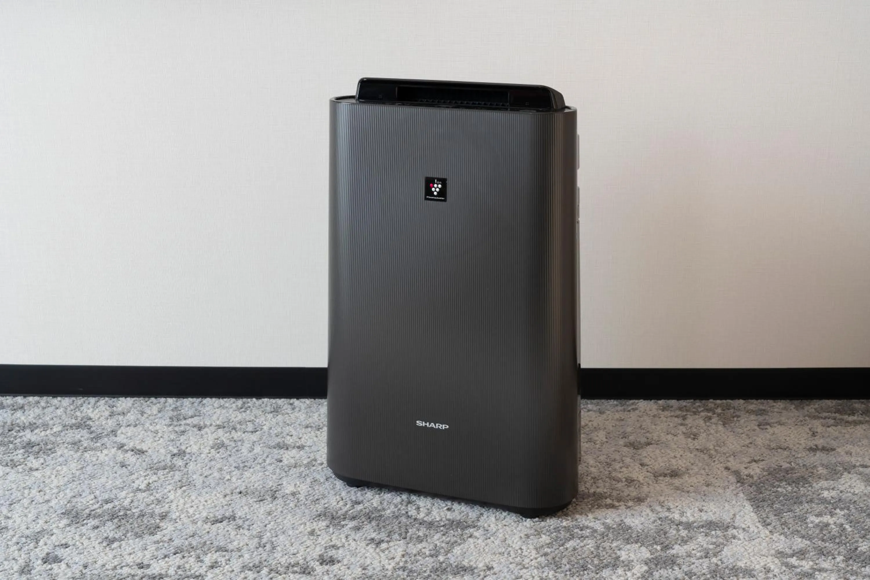 Photo of the whole room in HOTEL μ STYLE INUYAMA experience