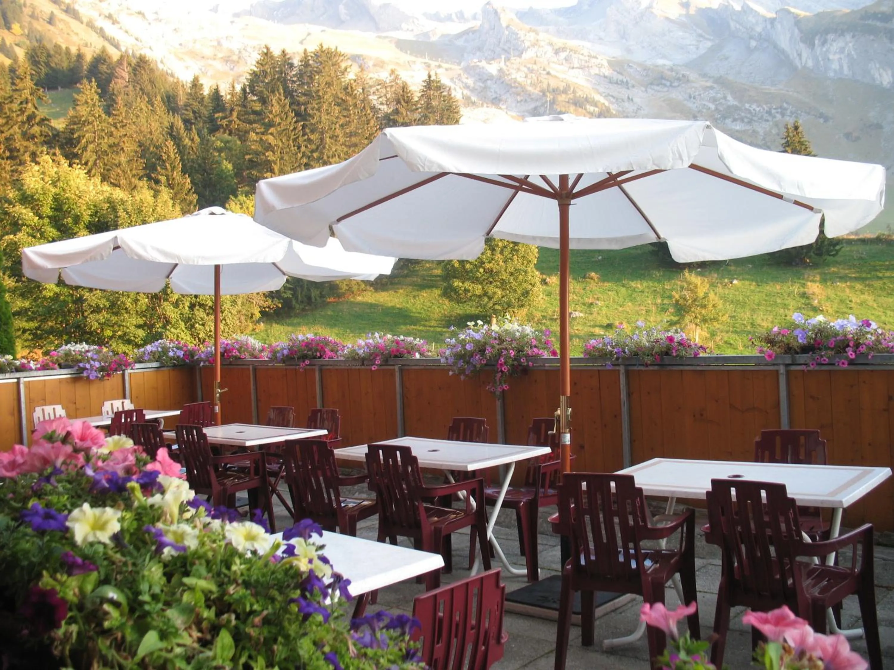 Patio in Hôtel Bellachat