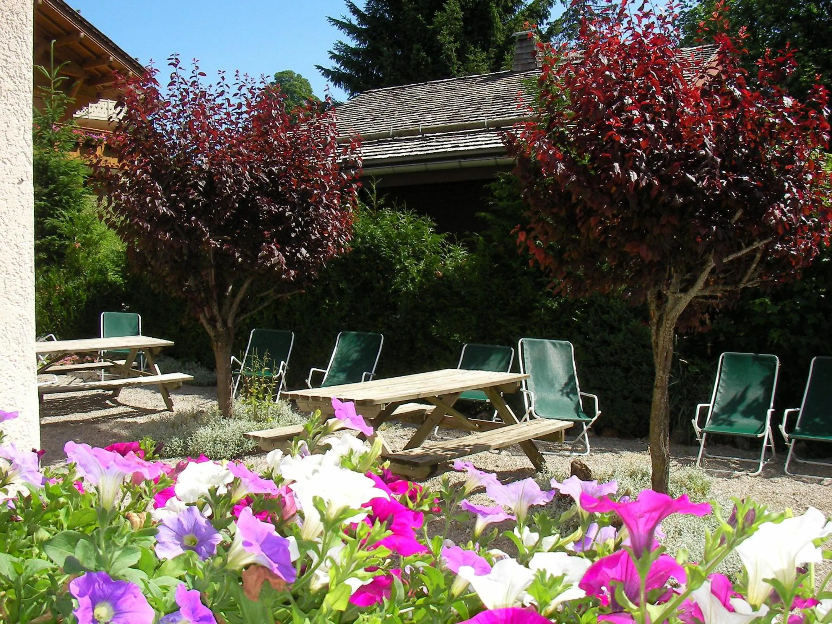 Patio in Hôtel Bellachat