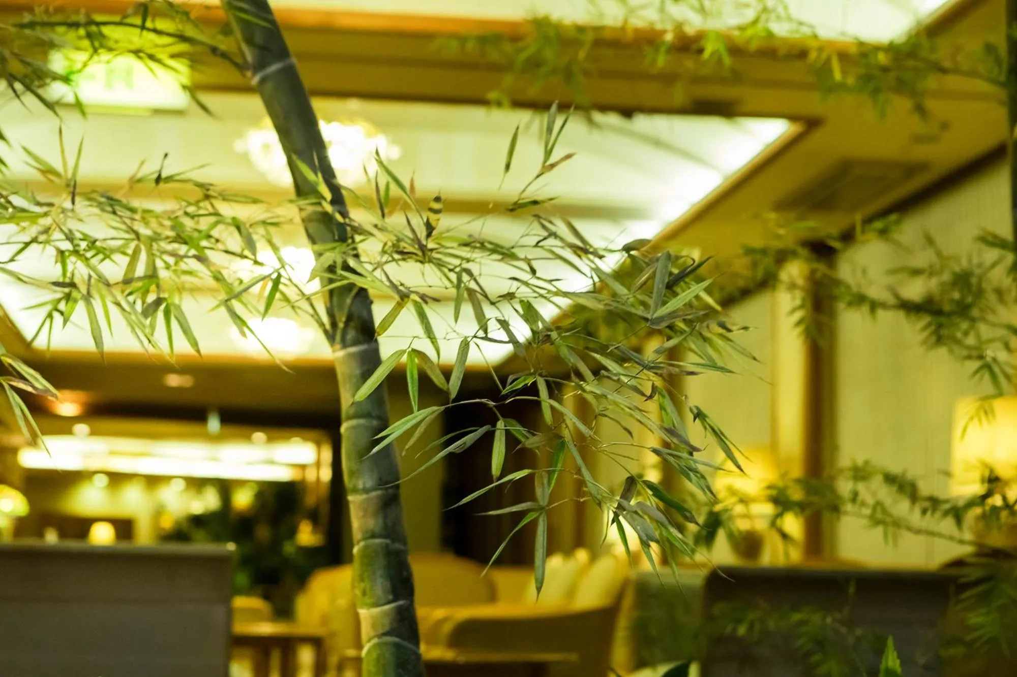 Hakone Yumoto Onsen Hotel Kajikaso