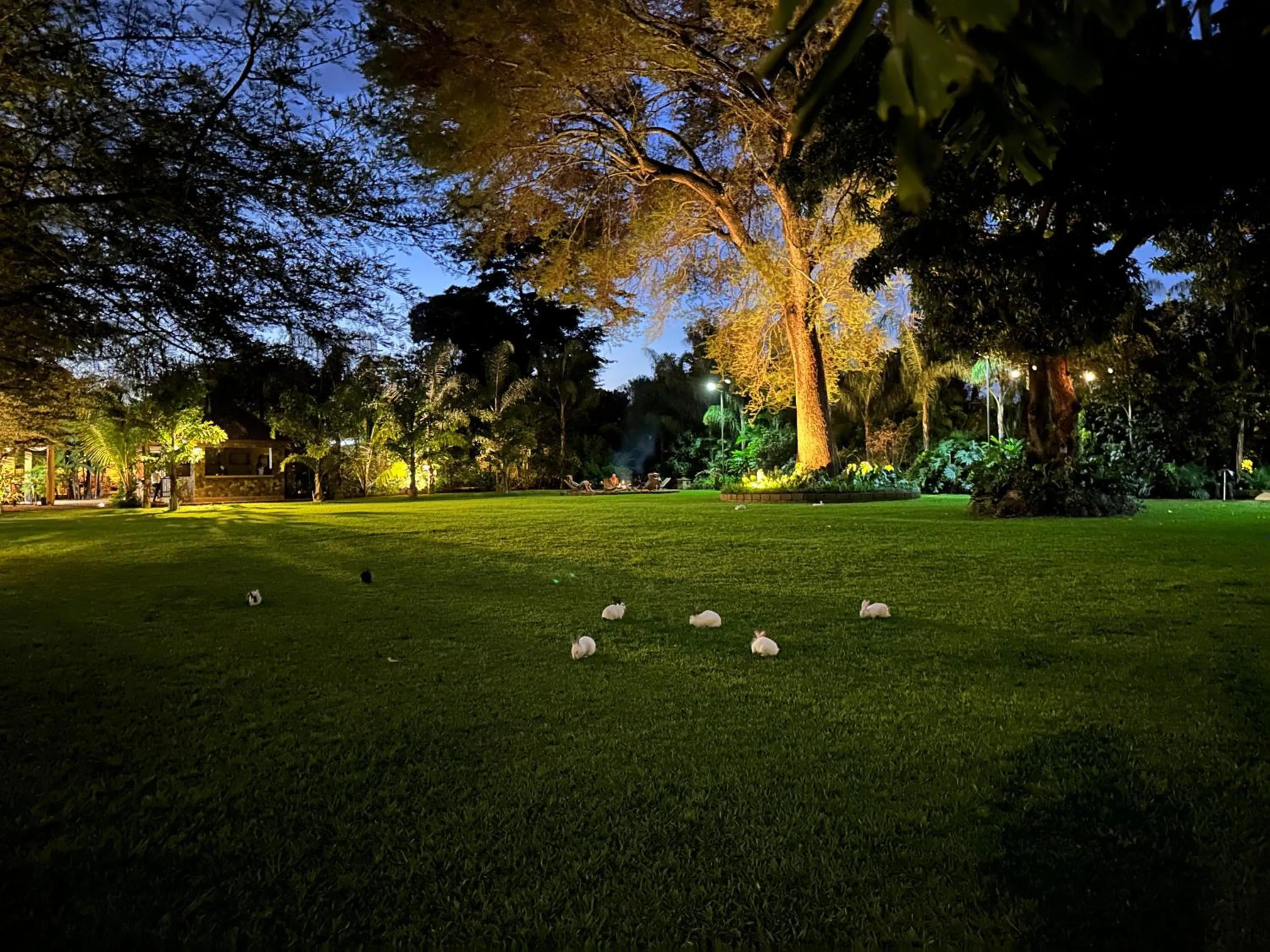 Tulivu Kilimanjaro Retreat