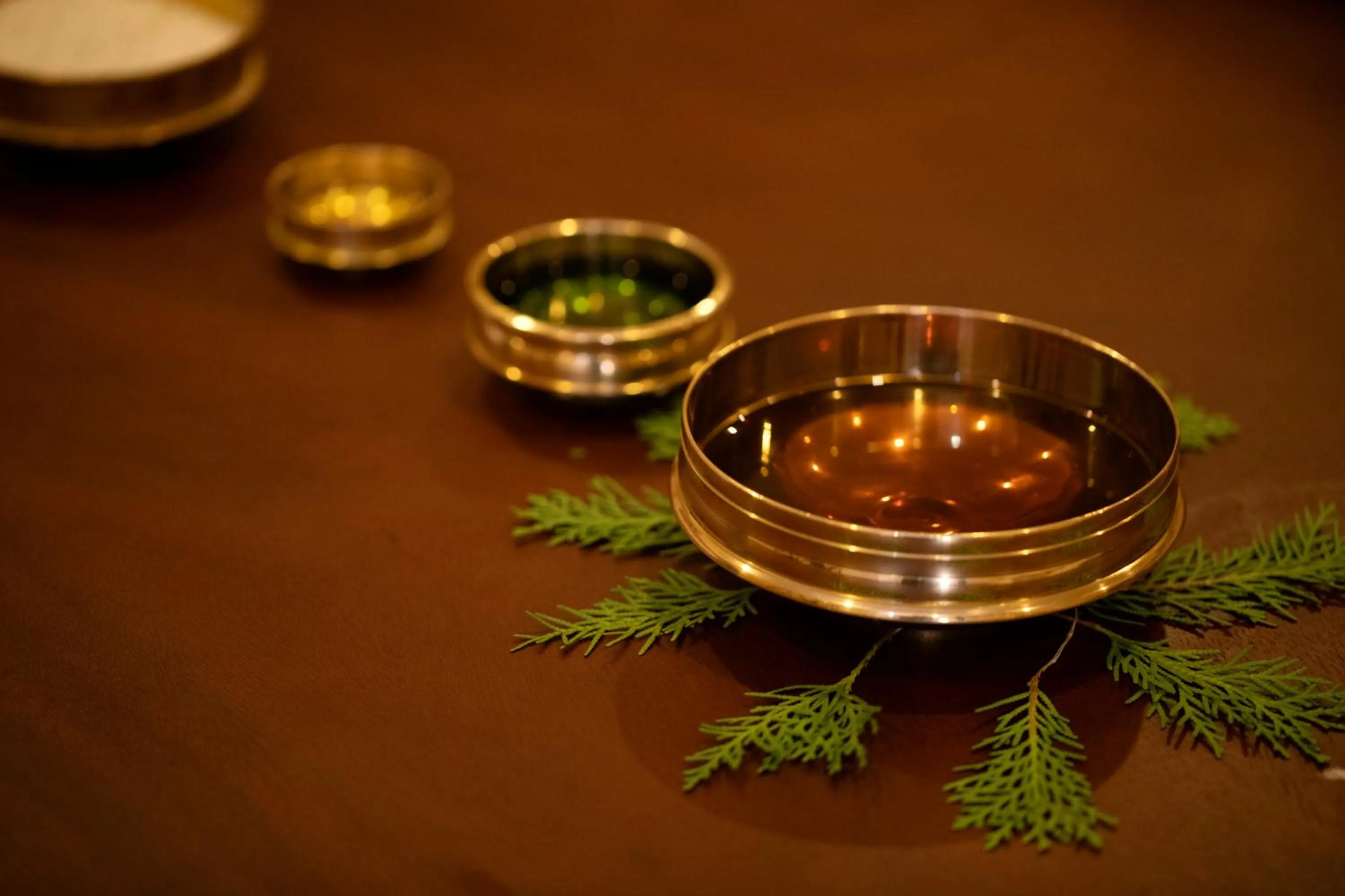 Spa and wellness centre/facilities in Au Revoir Wellness Resort, Malampuzha