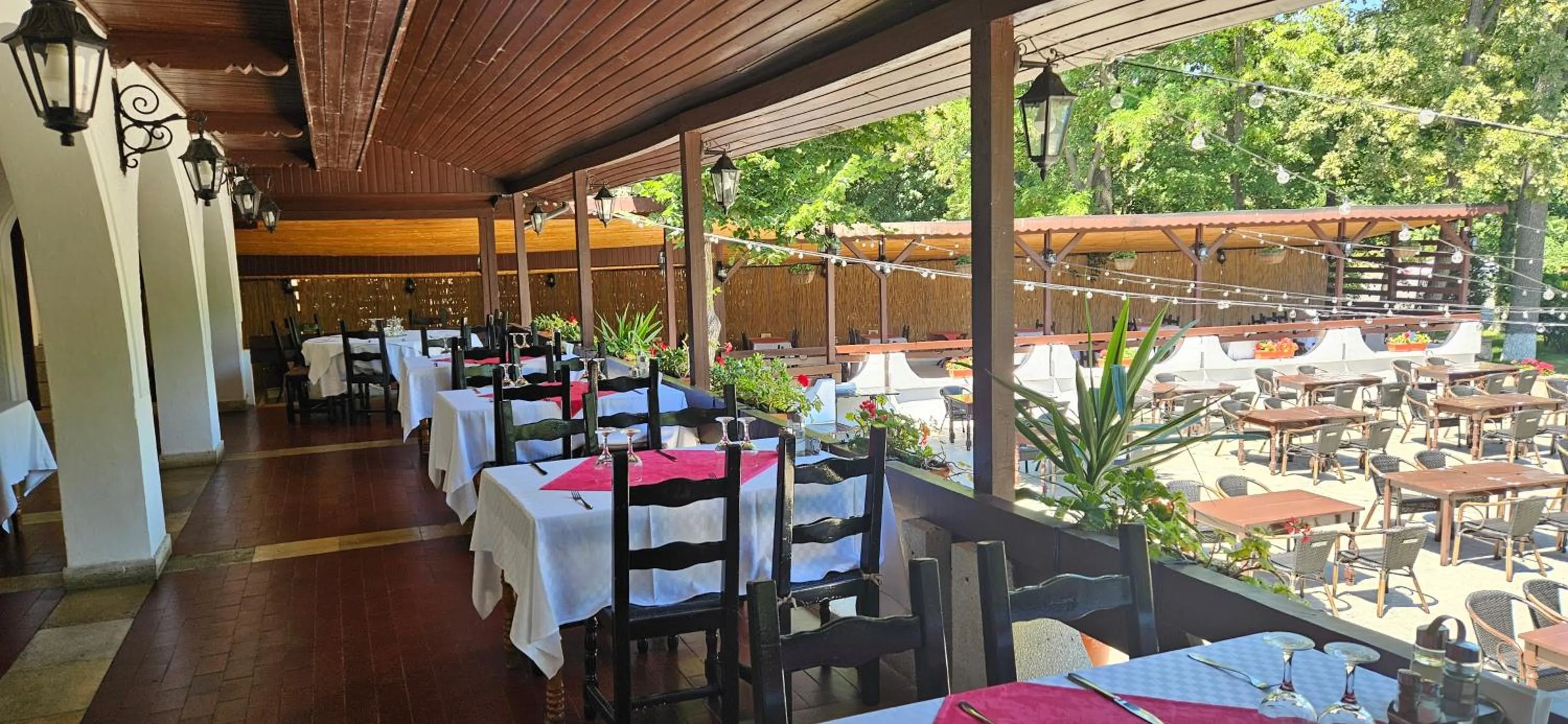 Restaurant/places to eat in Ilinca