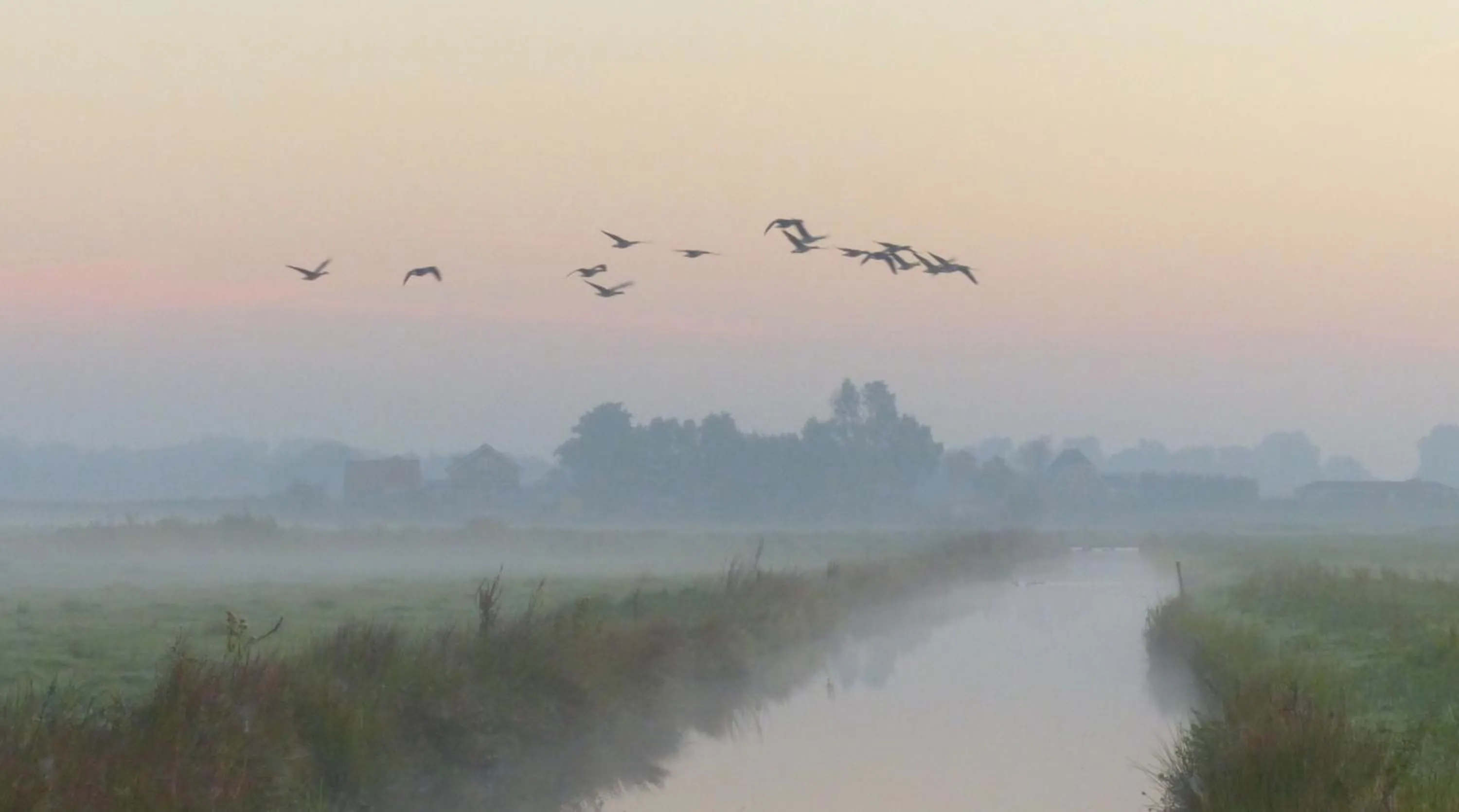 Natural landscape in Polderlodge