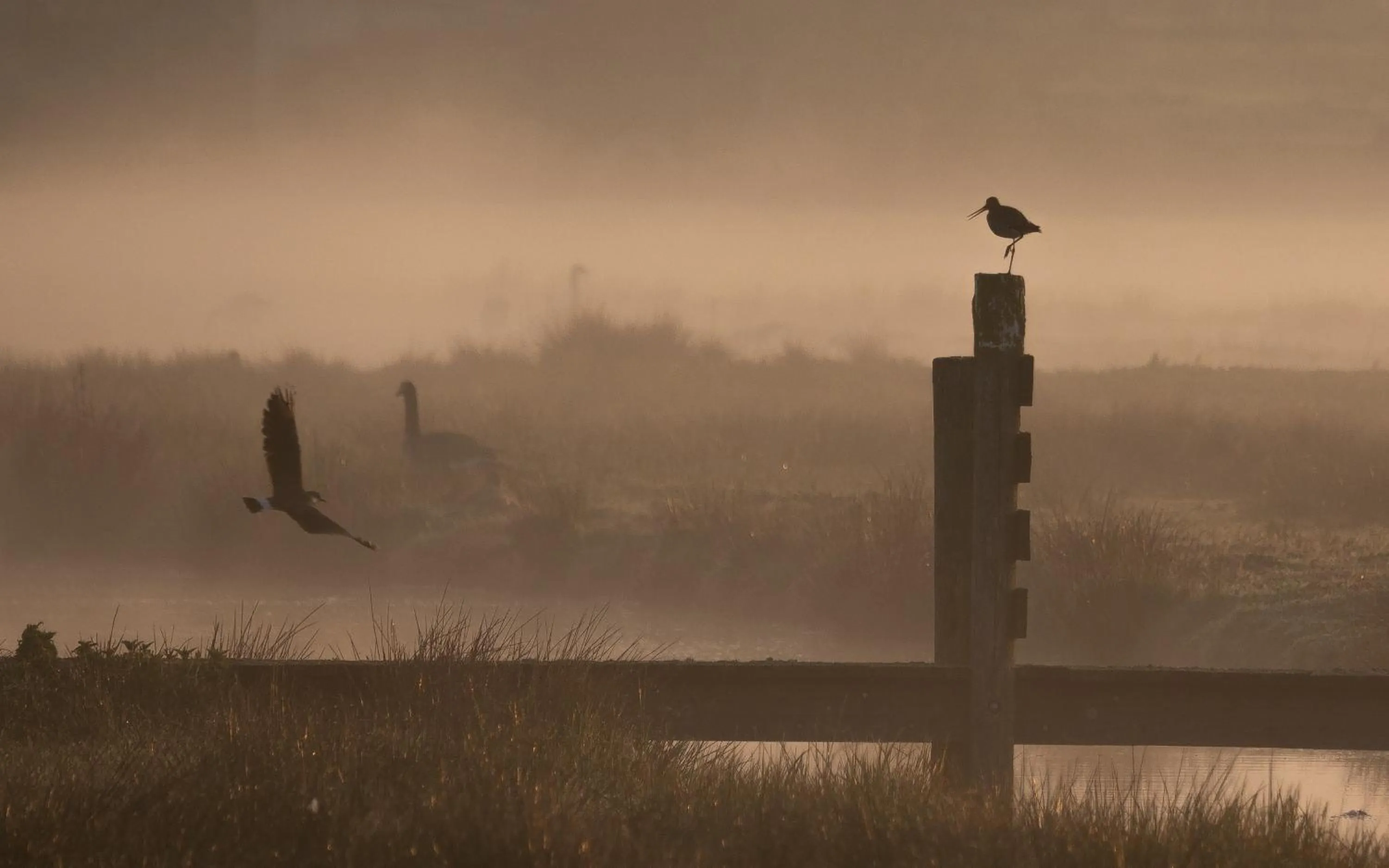 Natural landscape in Polderlodge