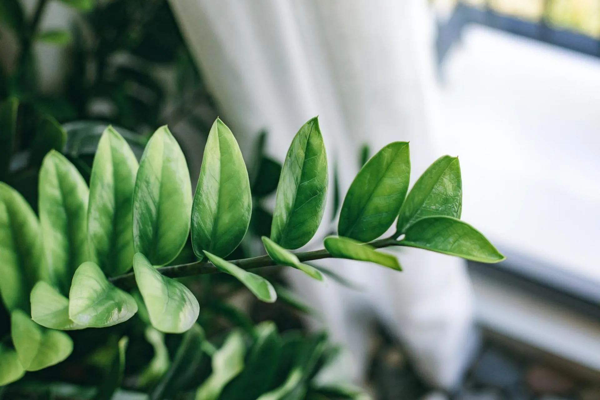 Decorative detail in JM Boutique Hotel