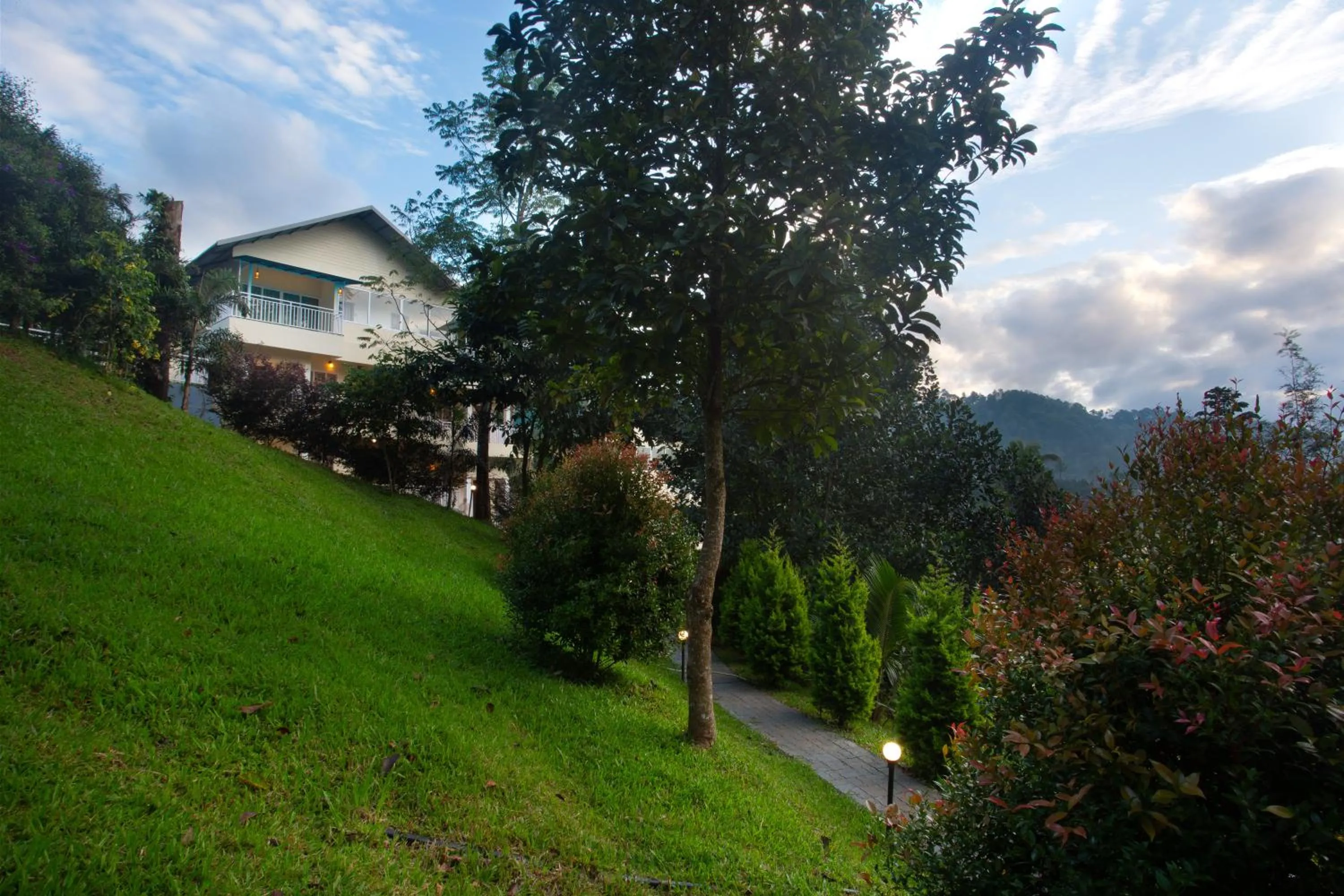 Garden in The Arbour Resort Munnar
