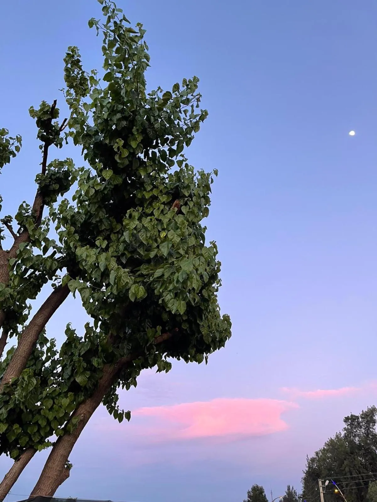 Dream Town Hotel&Restaurant