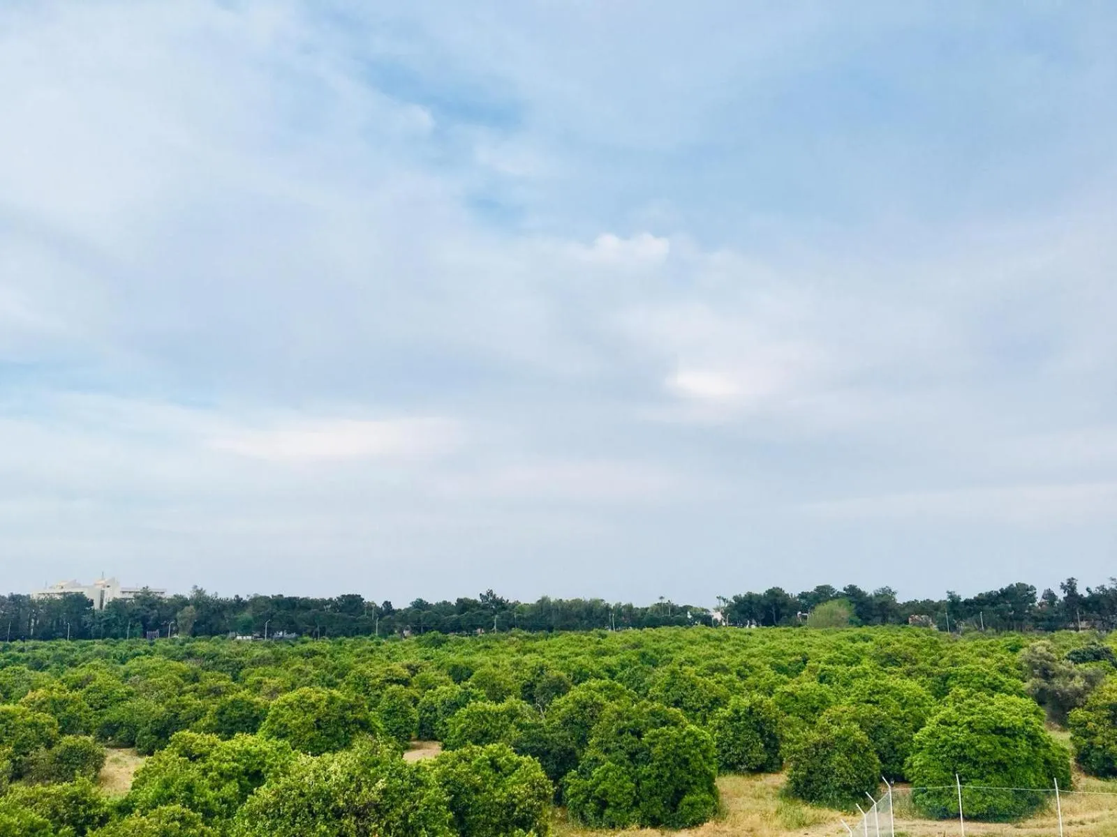 Natural landscape in Dream Town Hotel&Restaurant