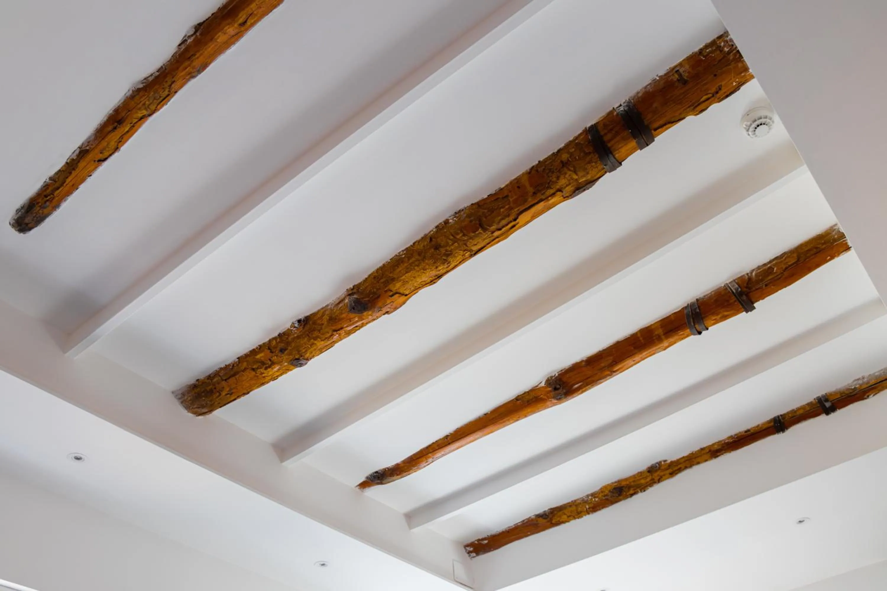 Decorative detail in Palazzo Cappuccini Art Relais