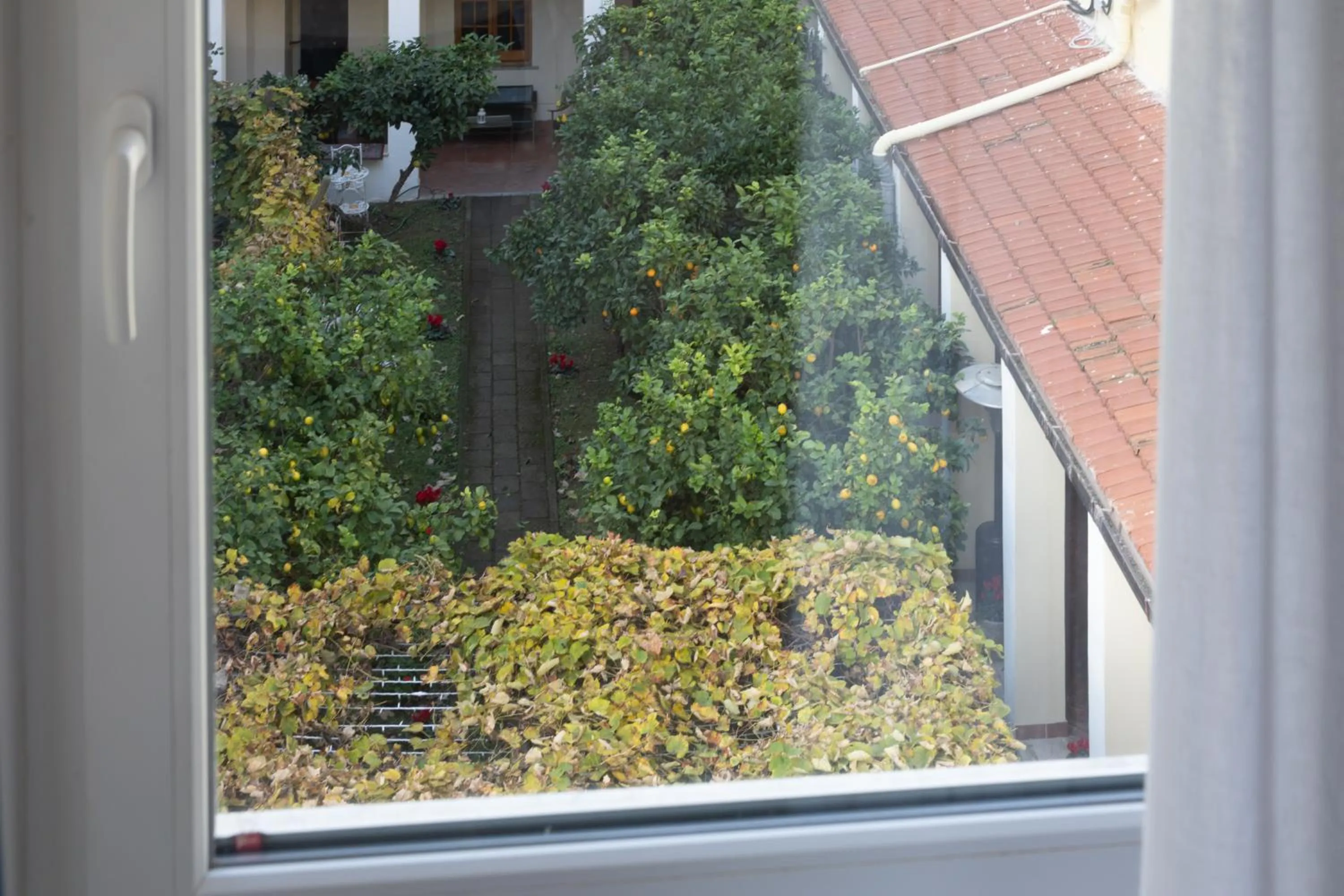 Day in Palazzo Cappuccini Art Relais