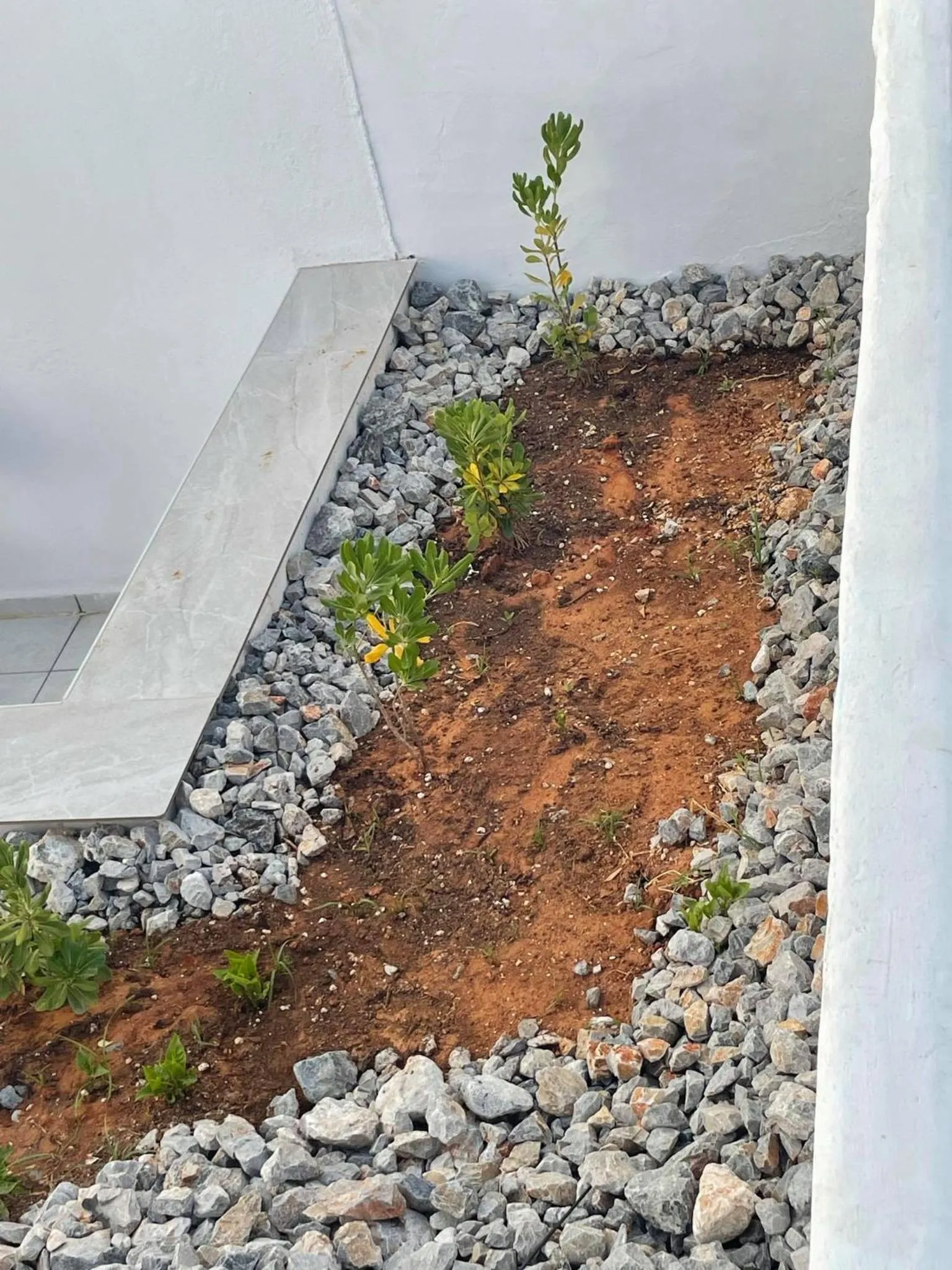 Garden in Coralli Beach Hotel