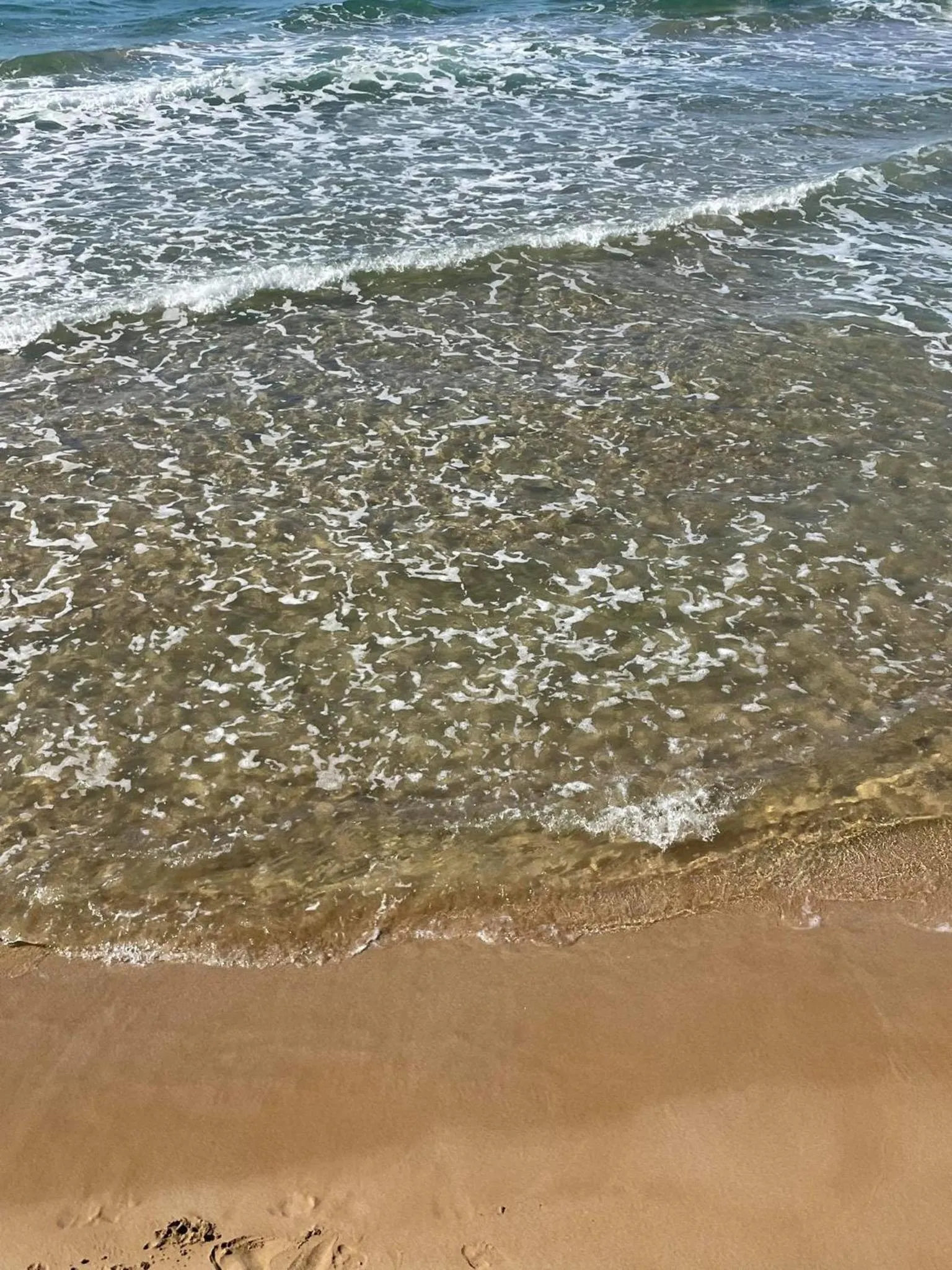 Beach in Coralli Beach Hotel