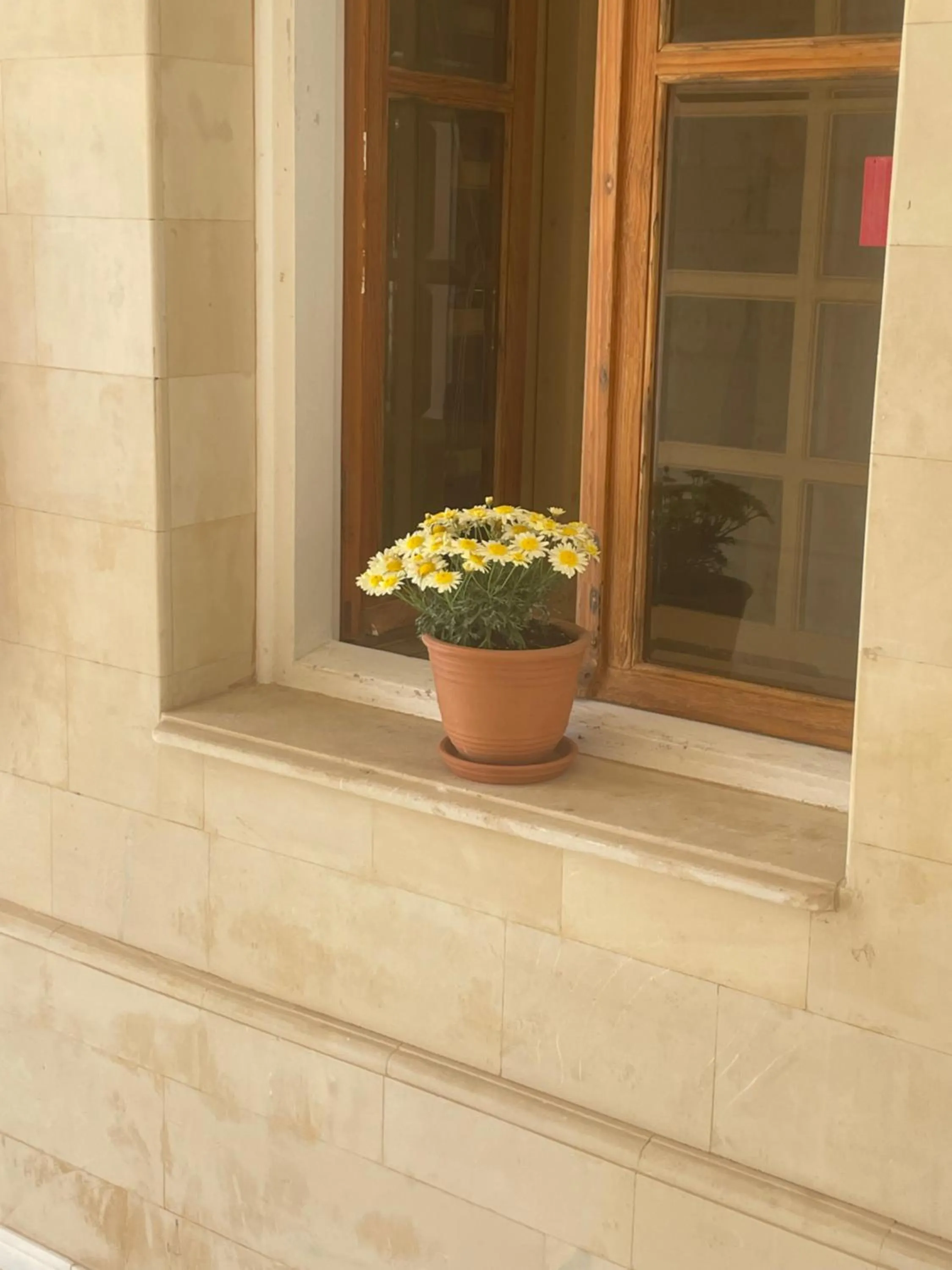 Facade/entrance in Coralli Beach Hotel