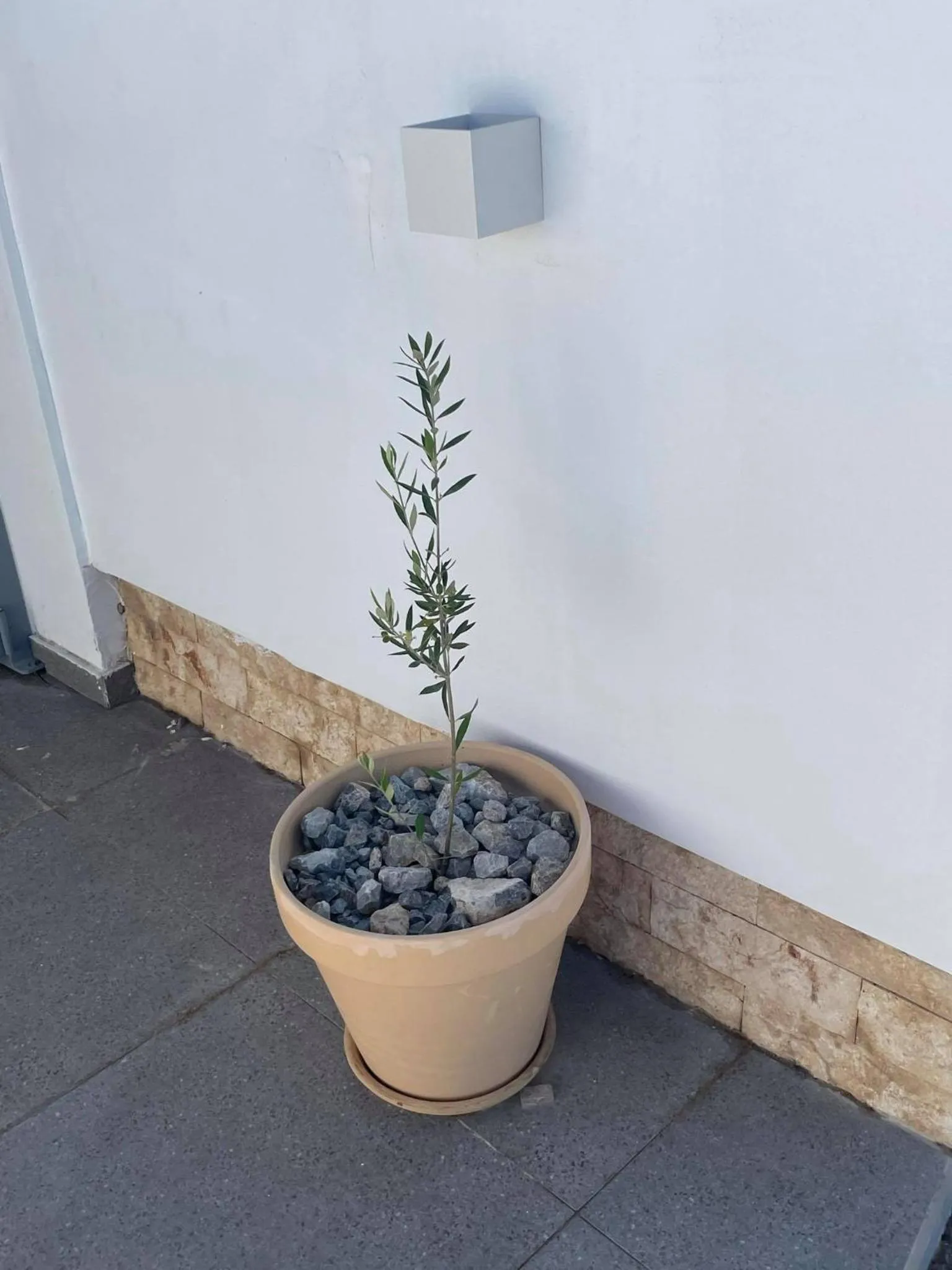 Property building in Coralli Beach Hotel