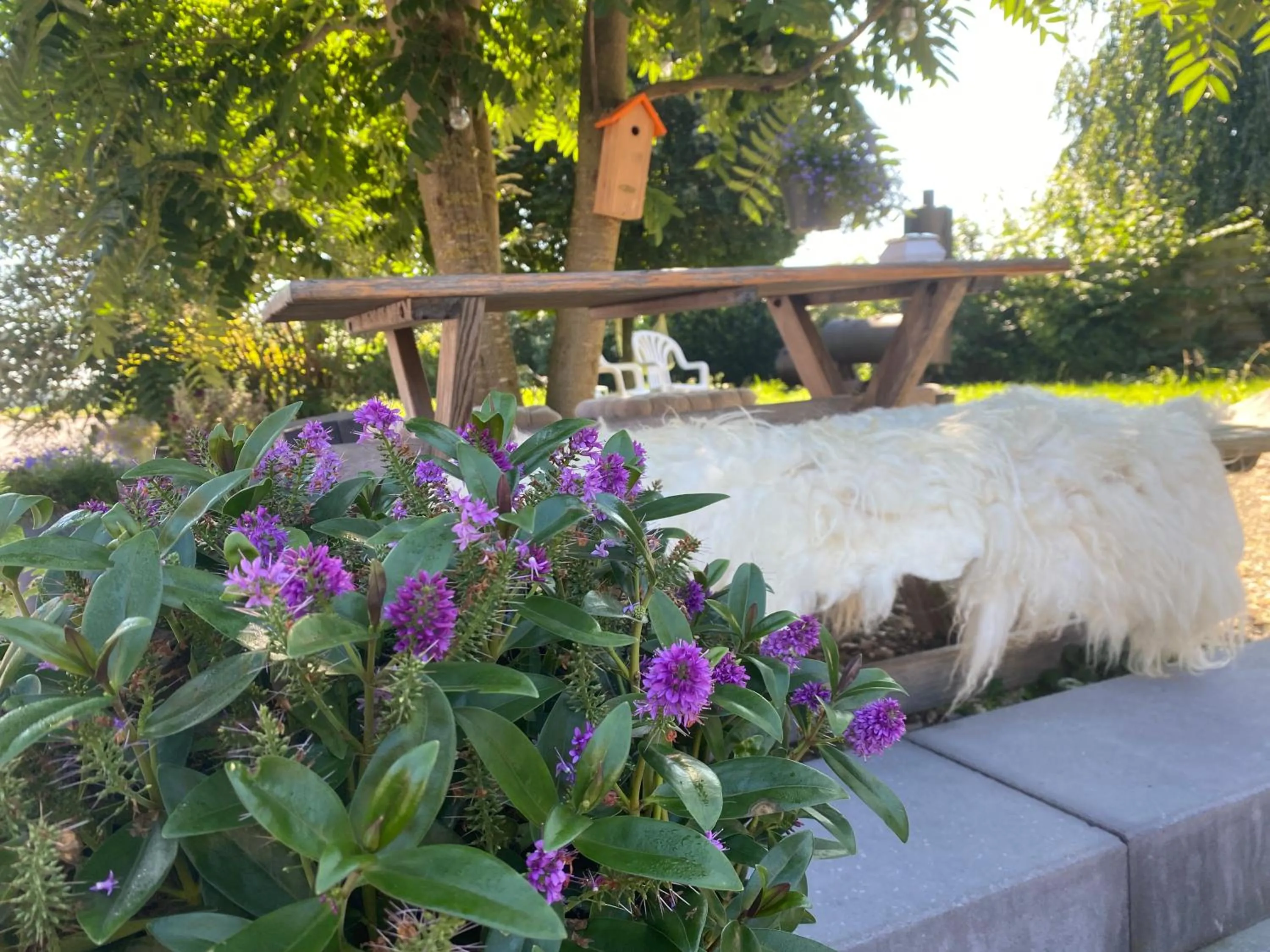 Spring in Vida Verde