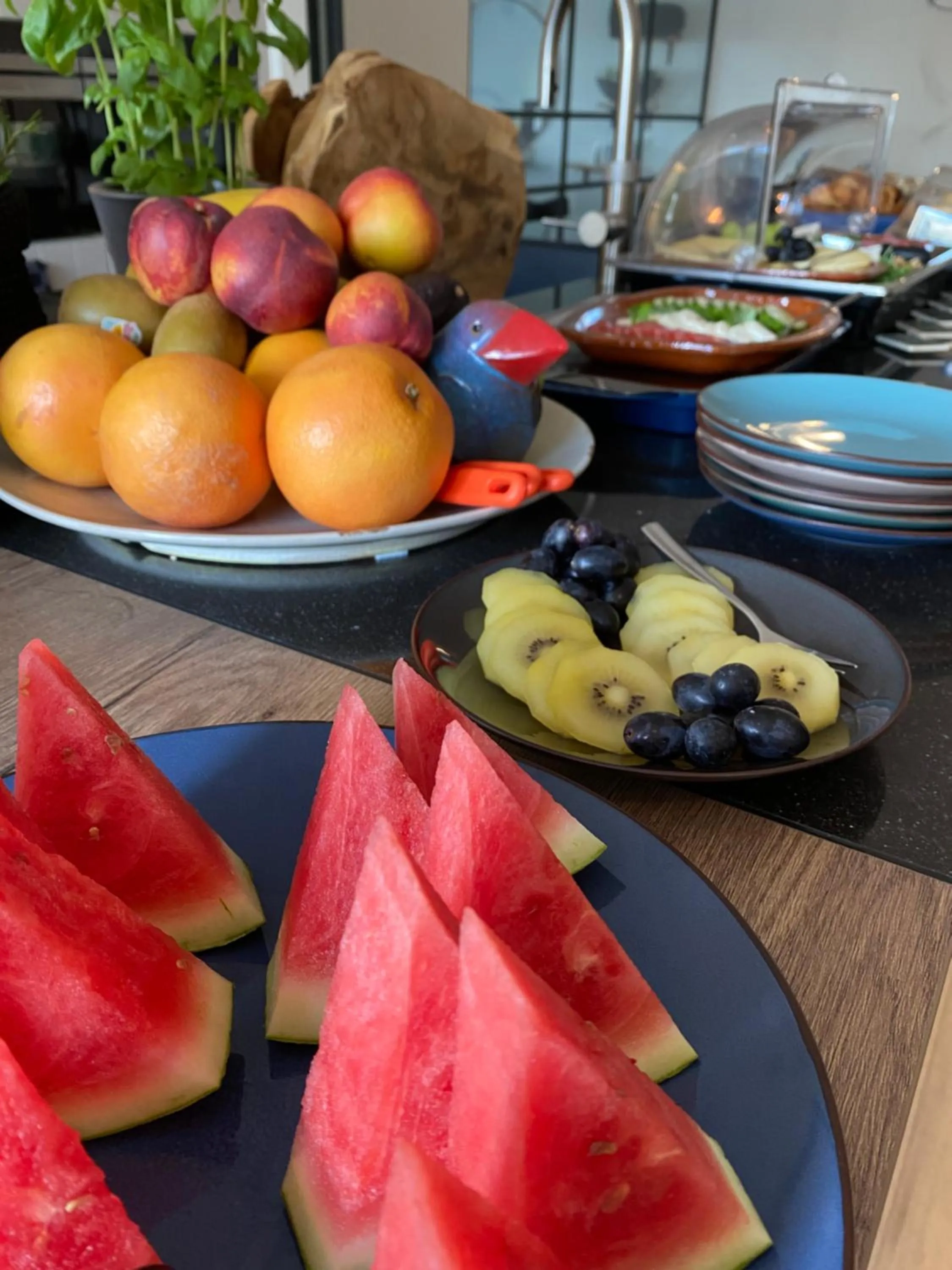 Food and drinks in Vida Verde