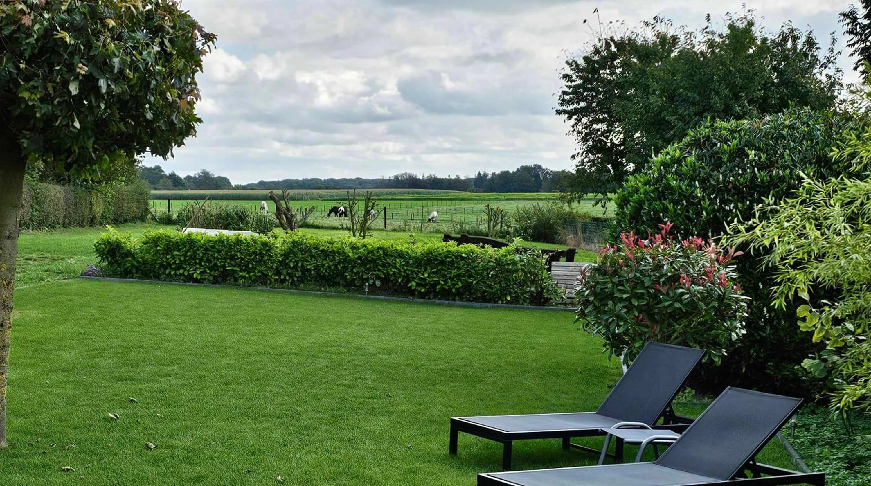 Spring in Vida Verde