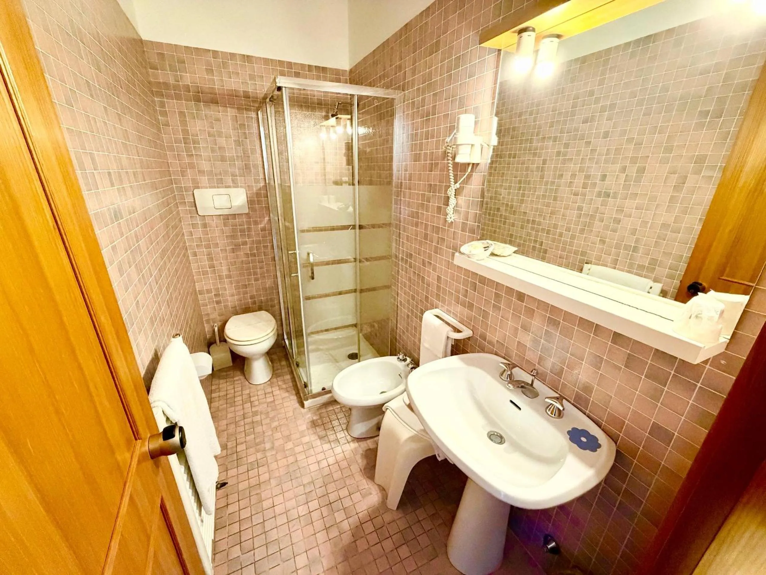 Shower in Hotel New Genziana