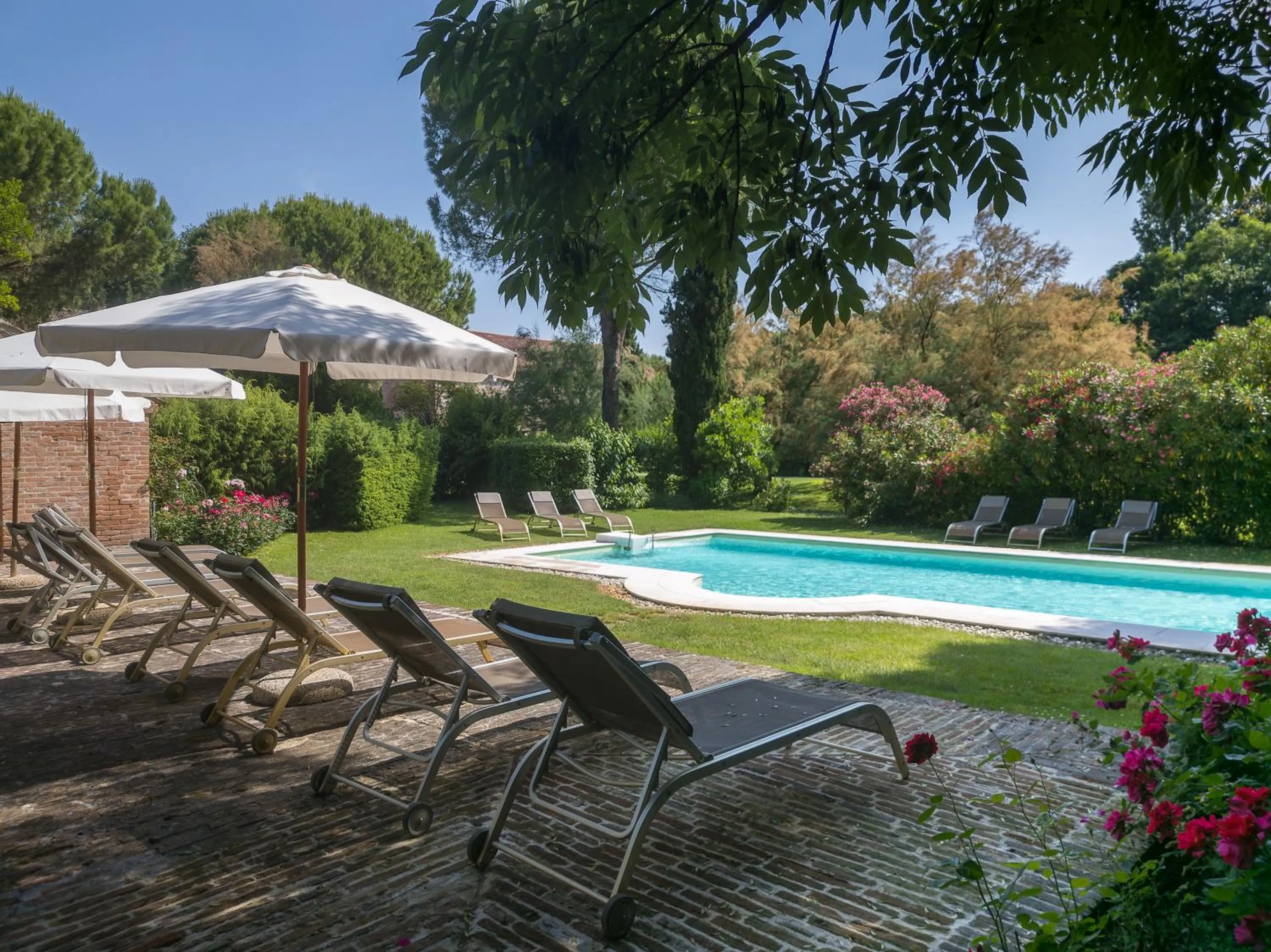 Garden view in Agriturismo Tenuta Castel Venezze