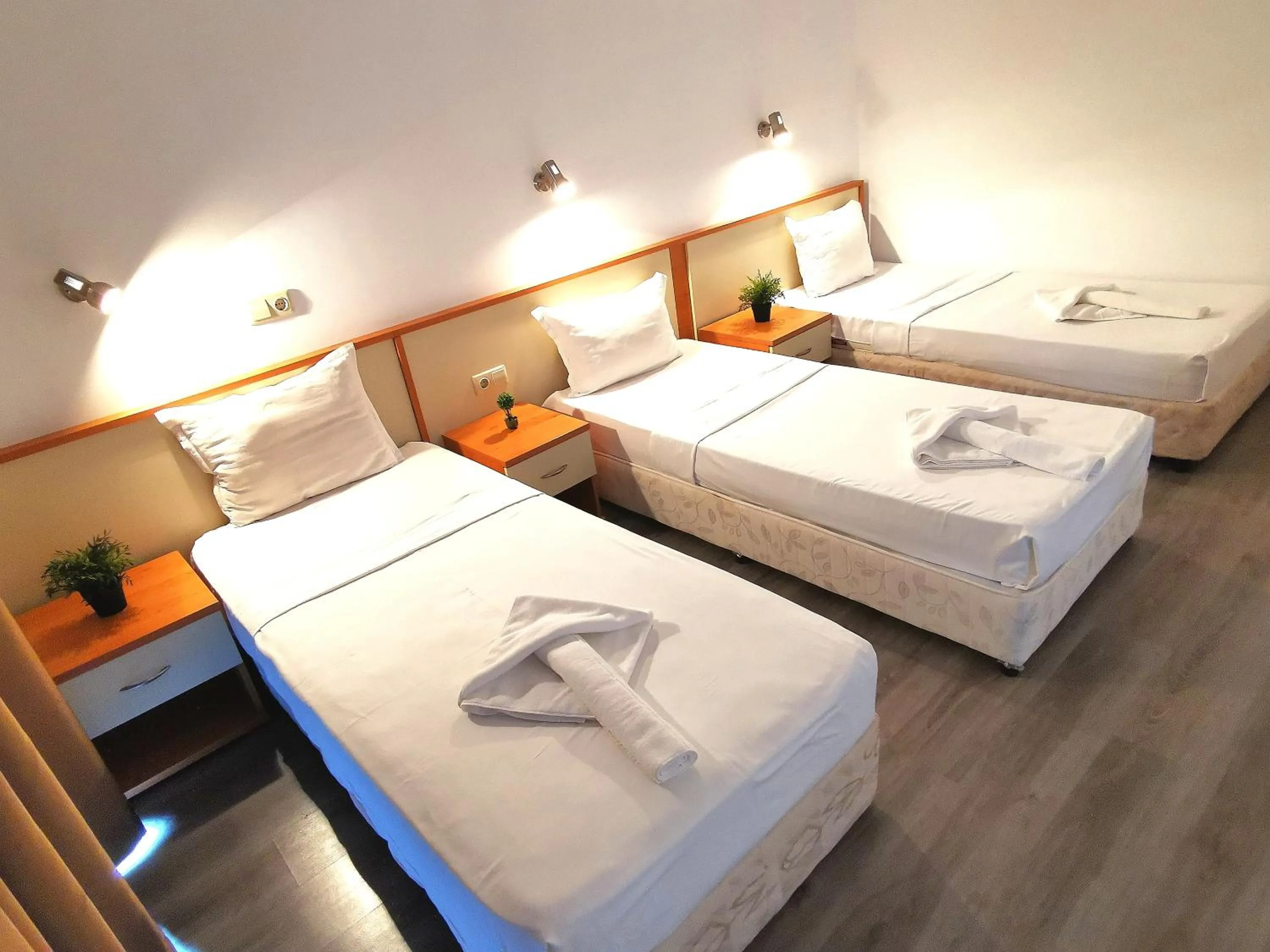 Photo of the whole room in Hotel Largo Beach