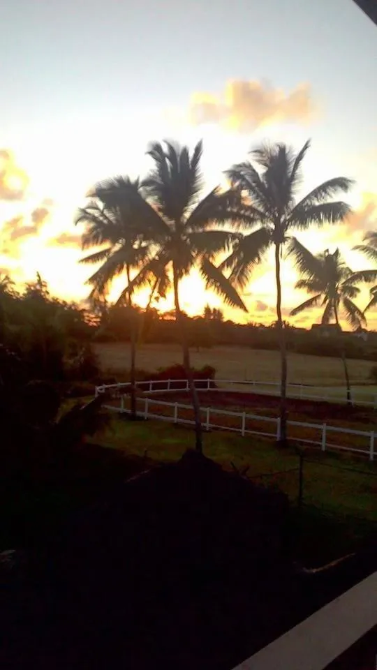 Natural landscape in Eden Villa