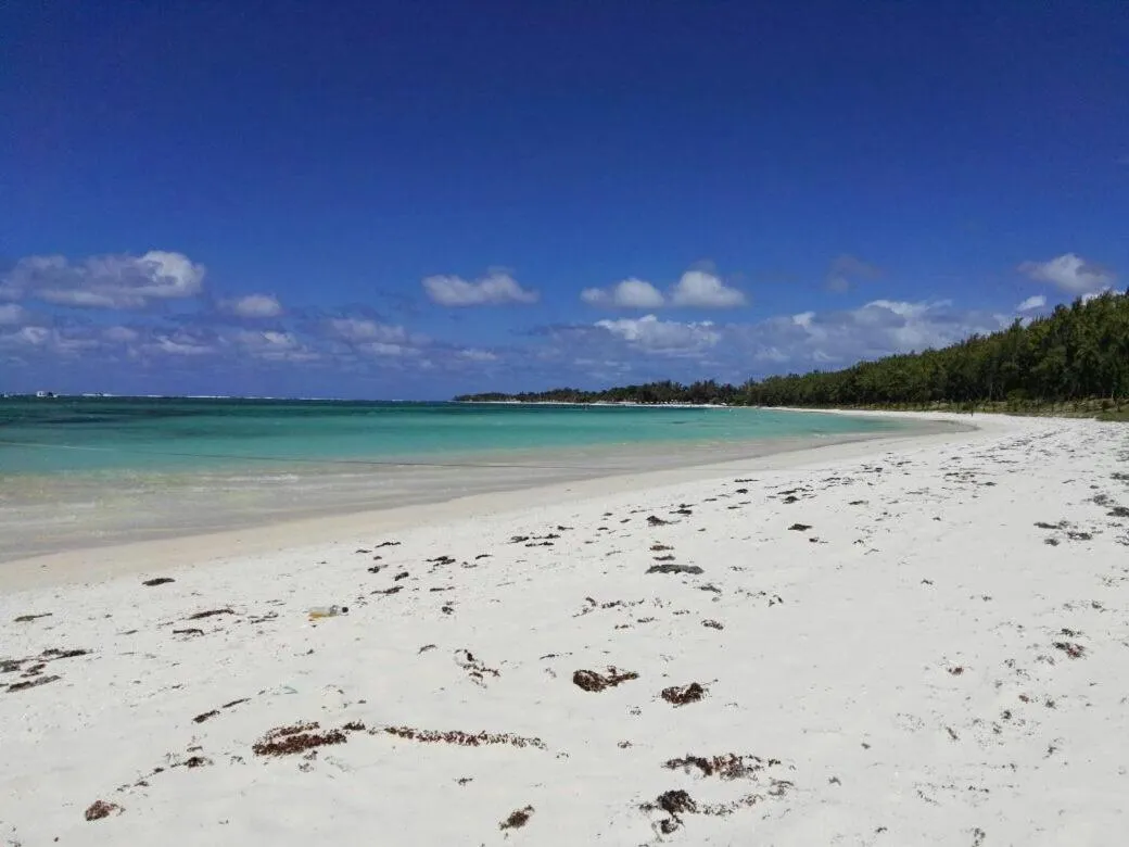 Natural landscape in Eden Villa