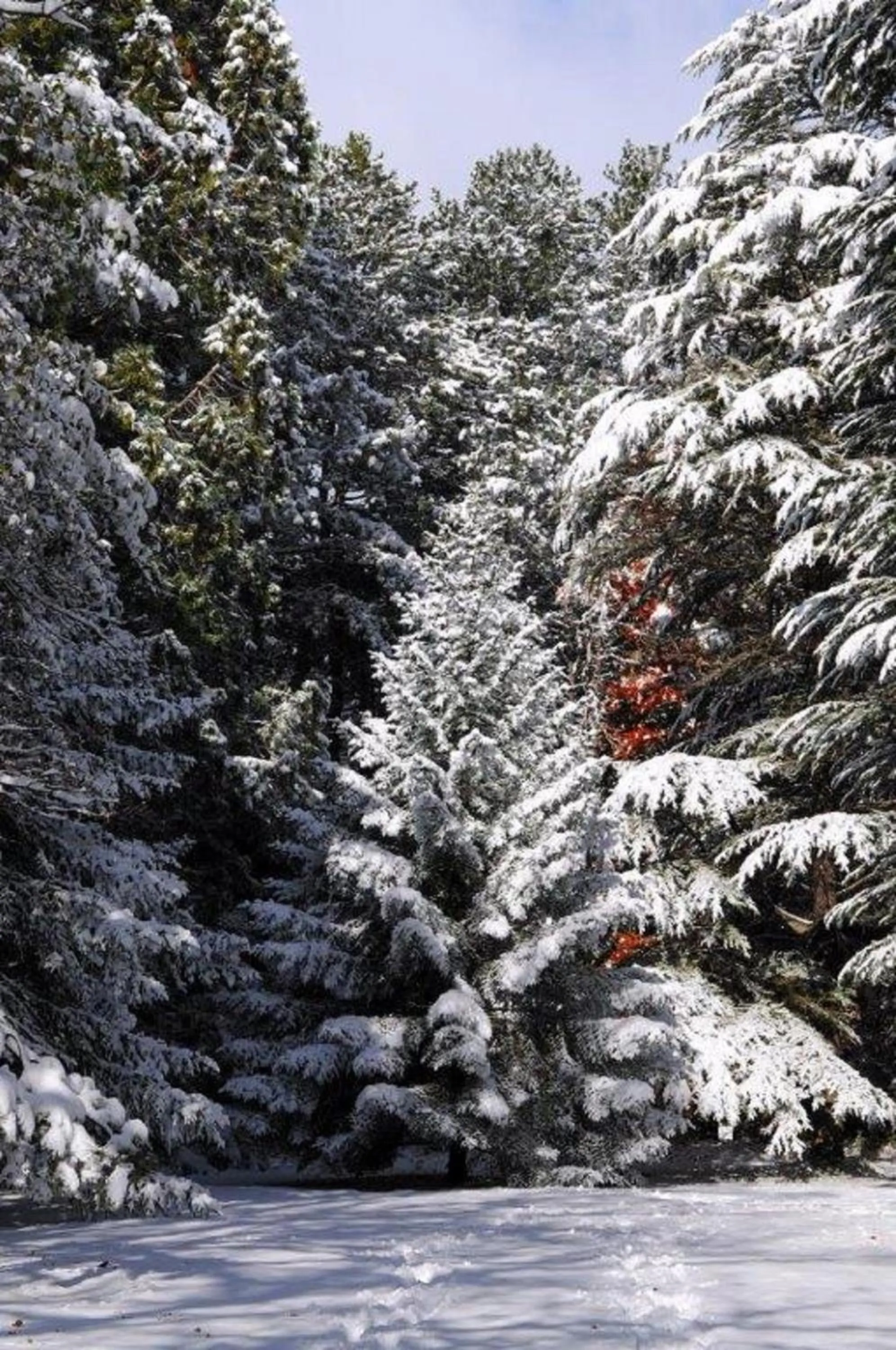 Facade/entrance in La Source