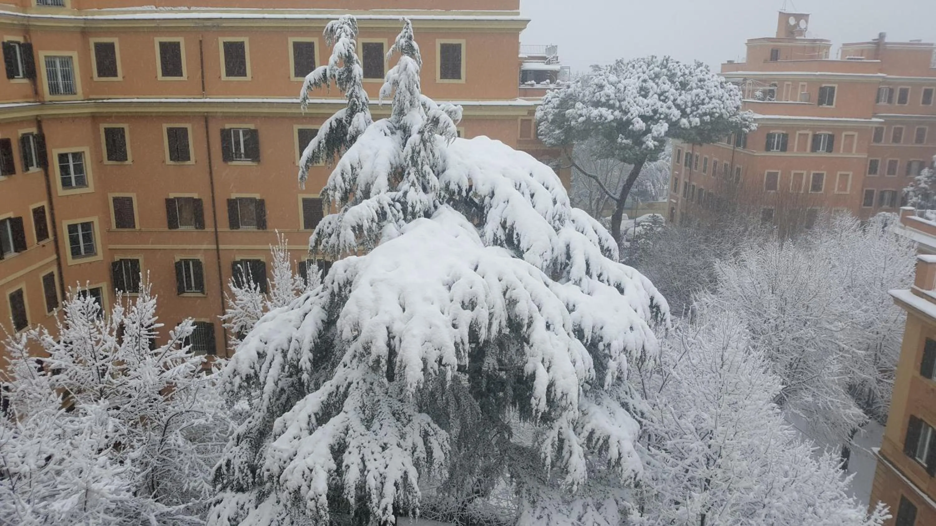 Winter in Bed & Breakfast A Casa di Lia a Roma