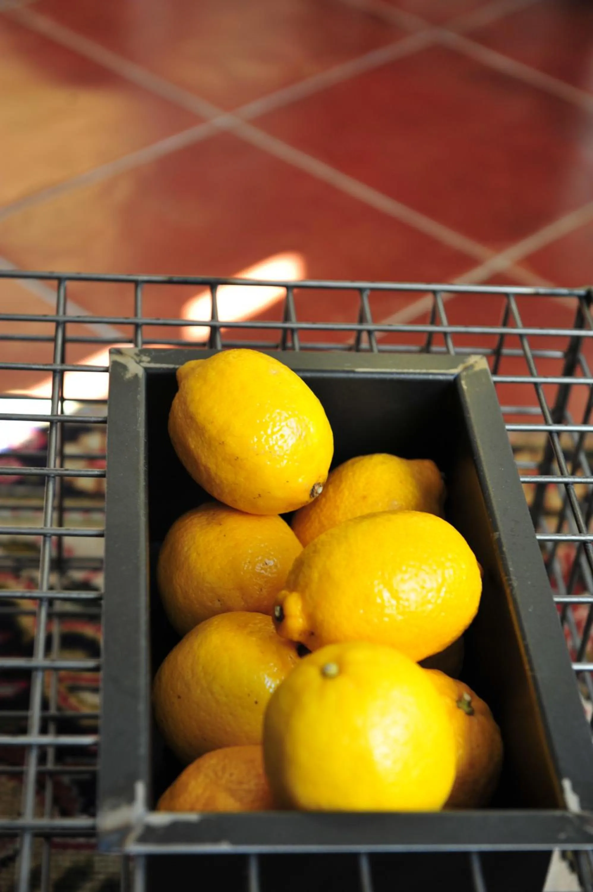 Decorative detail in Casa Messi