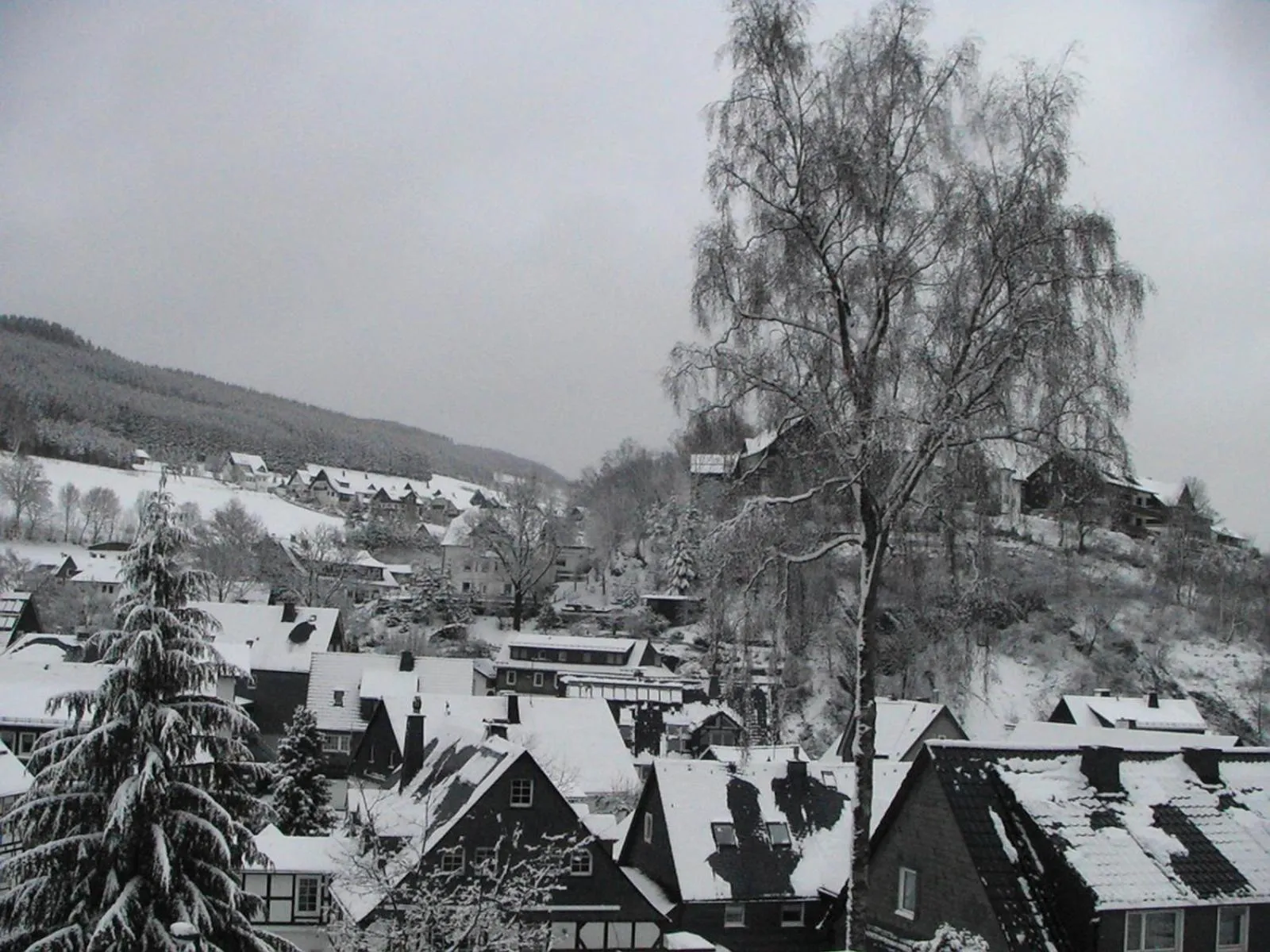 Winter in Sonneneck