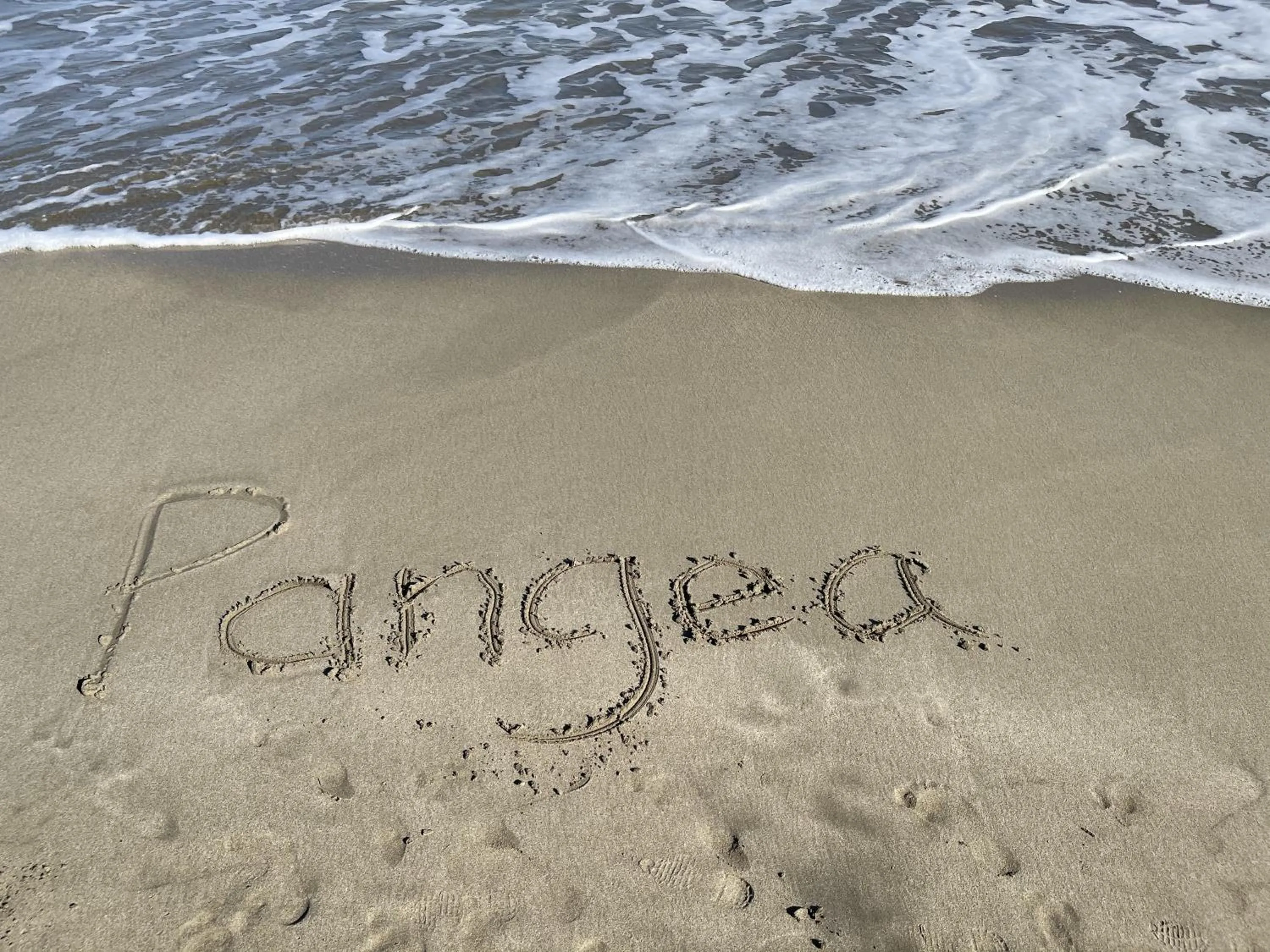 Beach in Pangea Lodge with Shared Pool at the Heart of Manzanillo