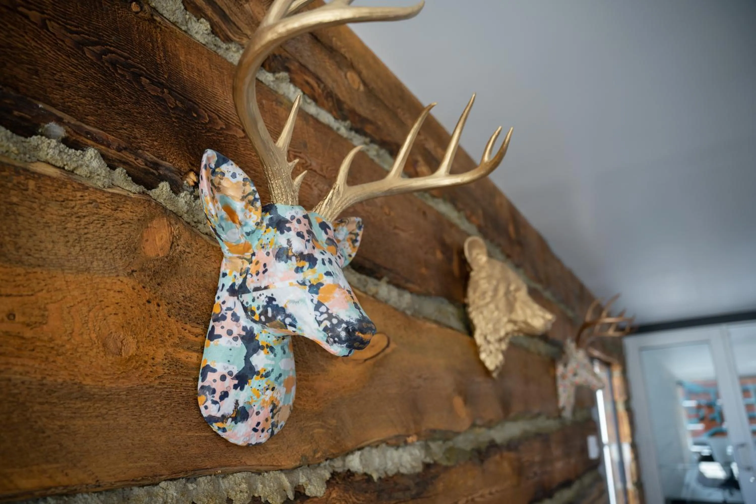 Gravity Haus Winter Park