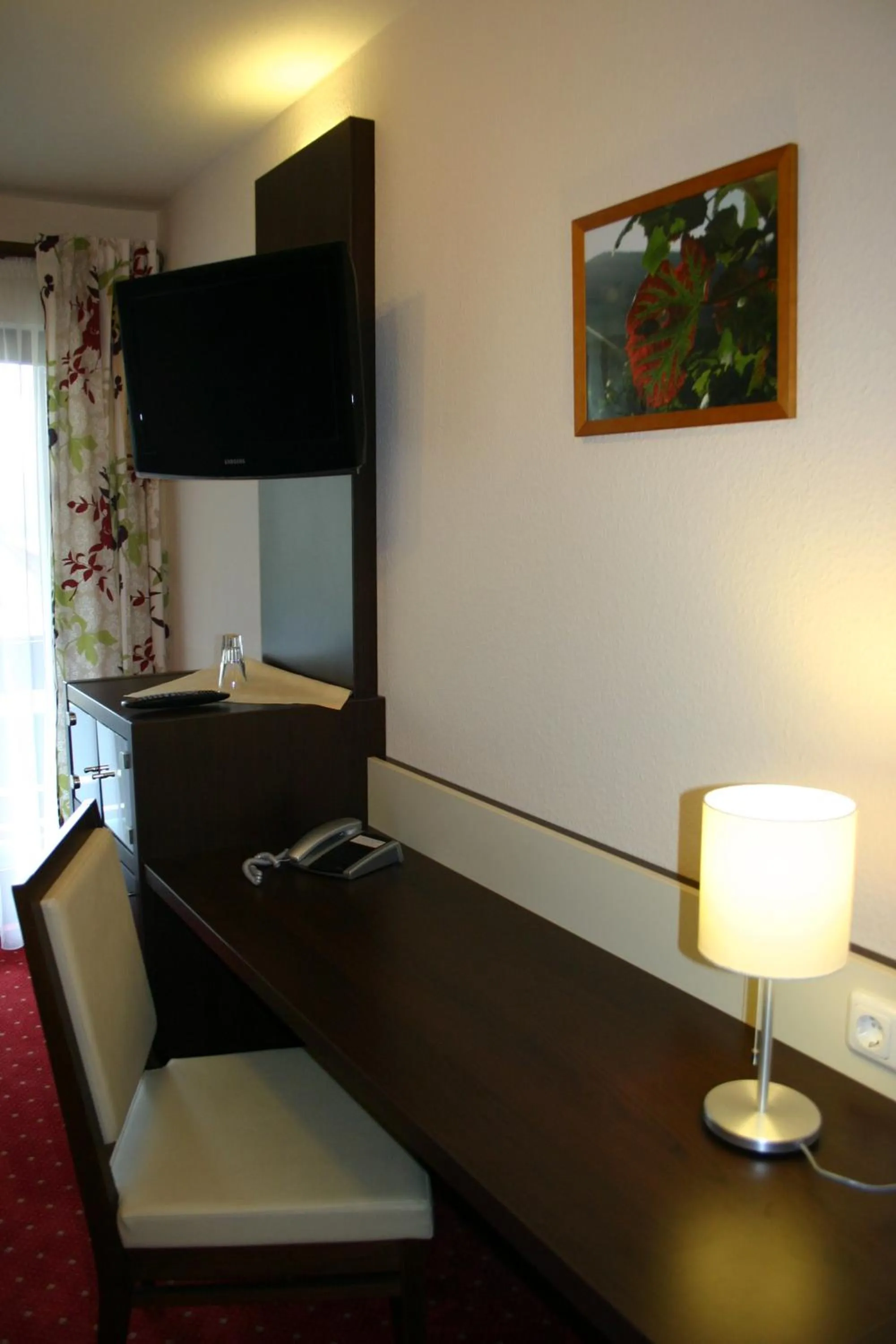 TV and multimedia in Landhotel Salmen