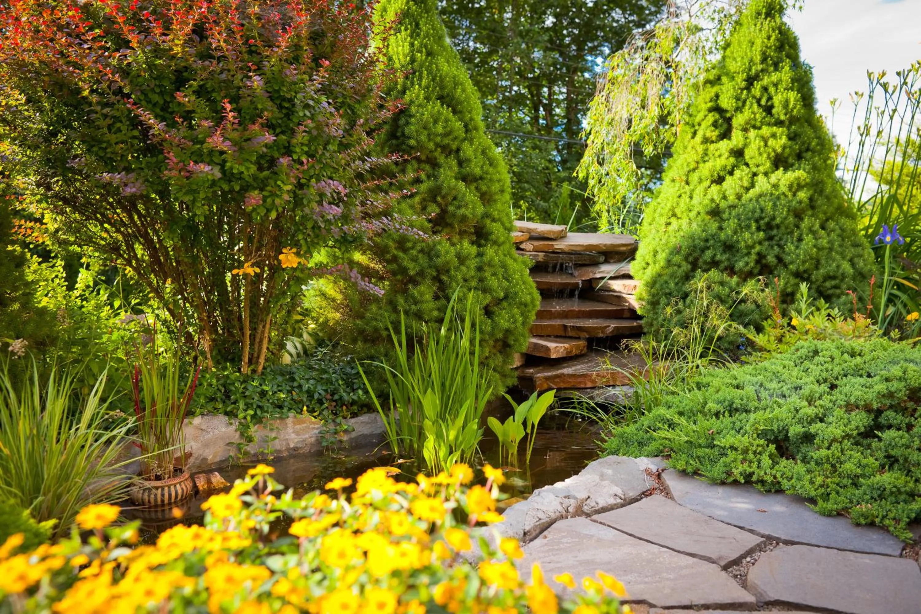 Garden in Willa Trela