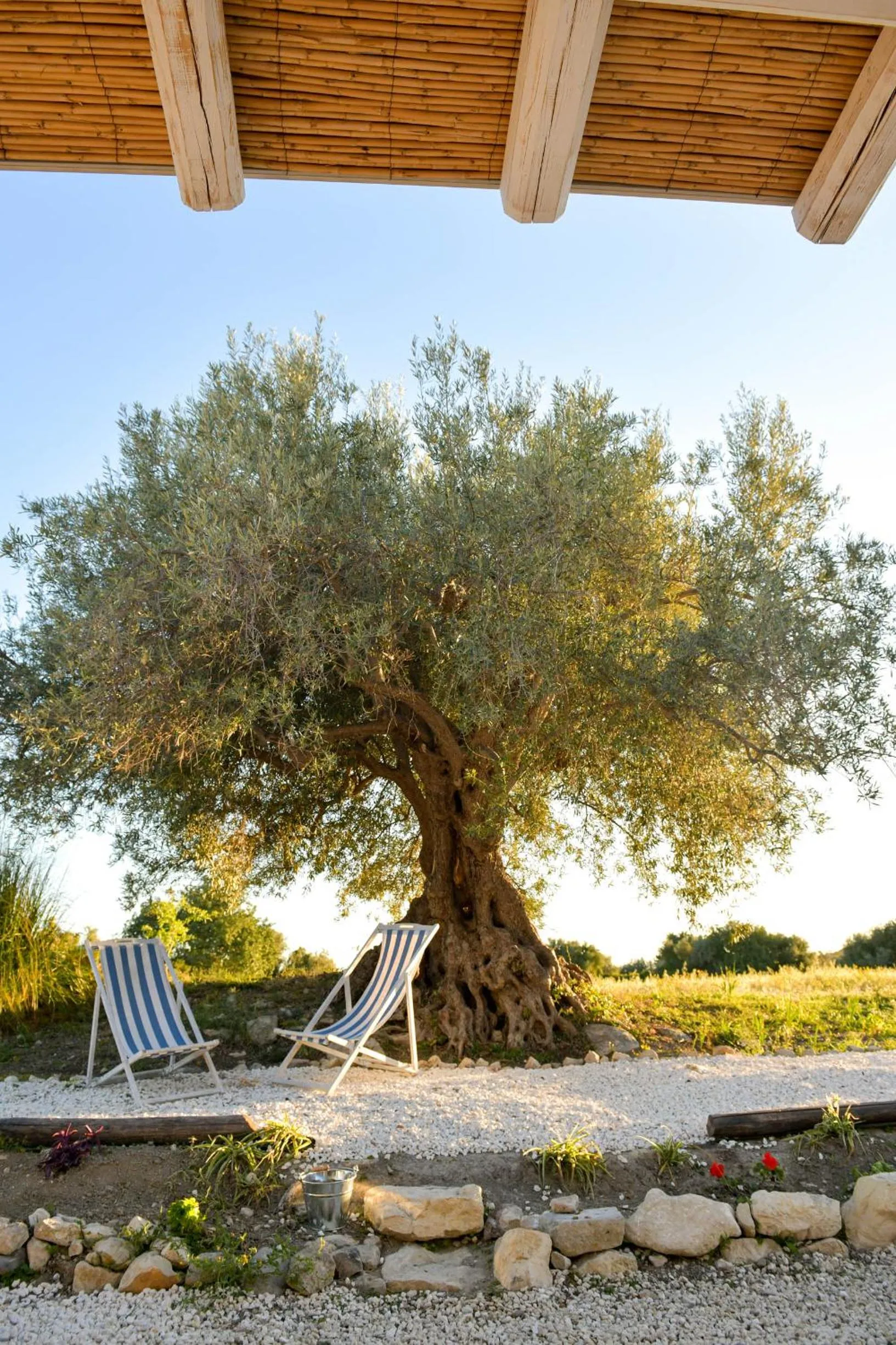 Garden in LUCCICAMARE family-run BeB