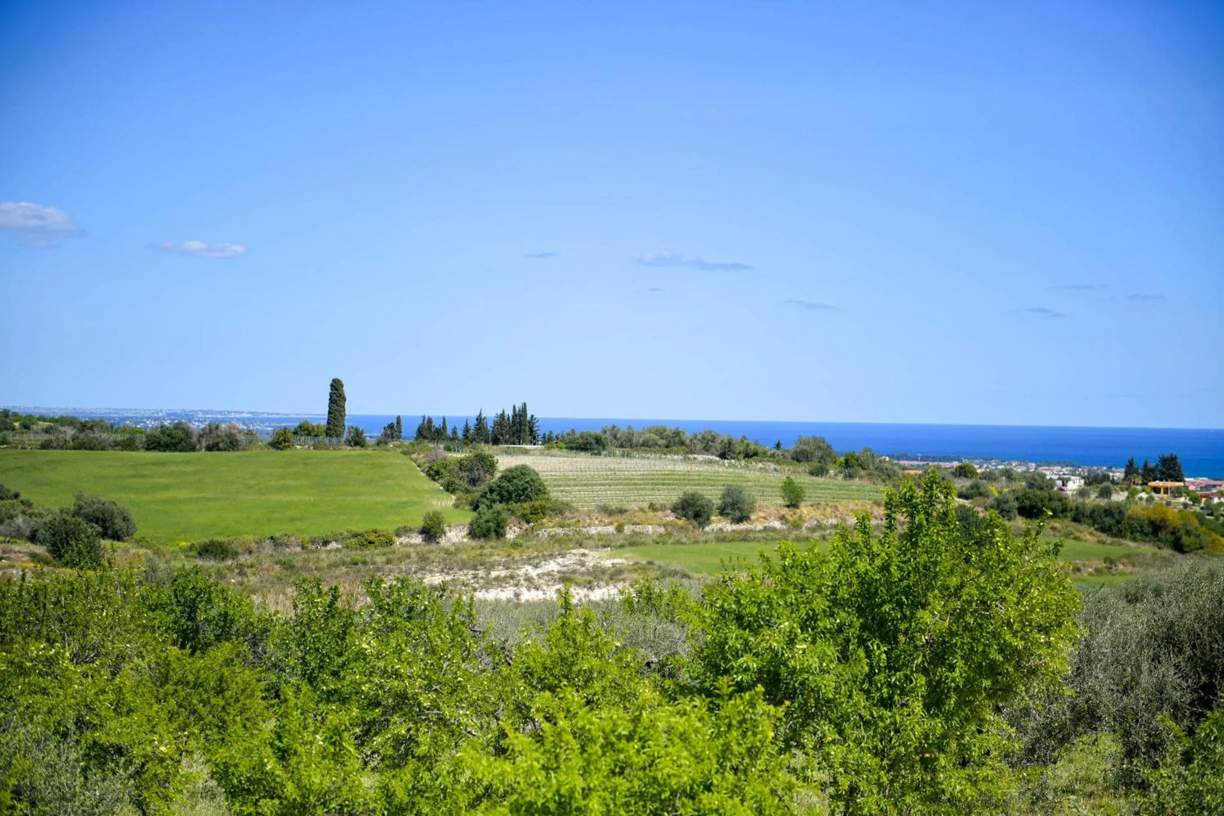 Garden in LUCCICAMARE family-run BeB