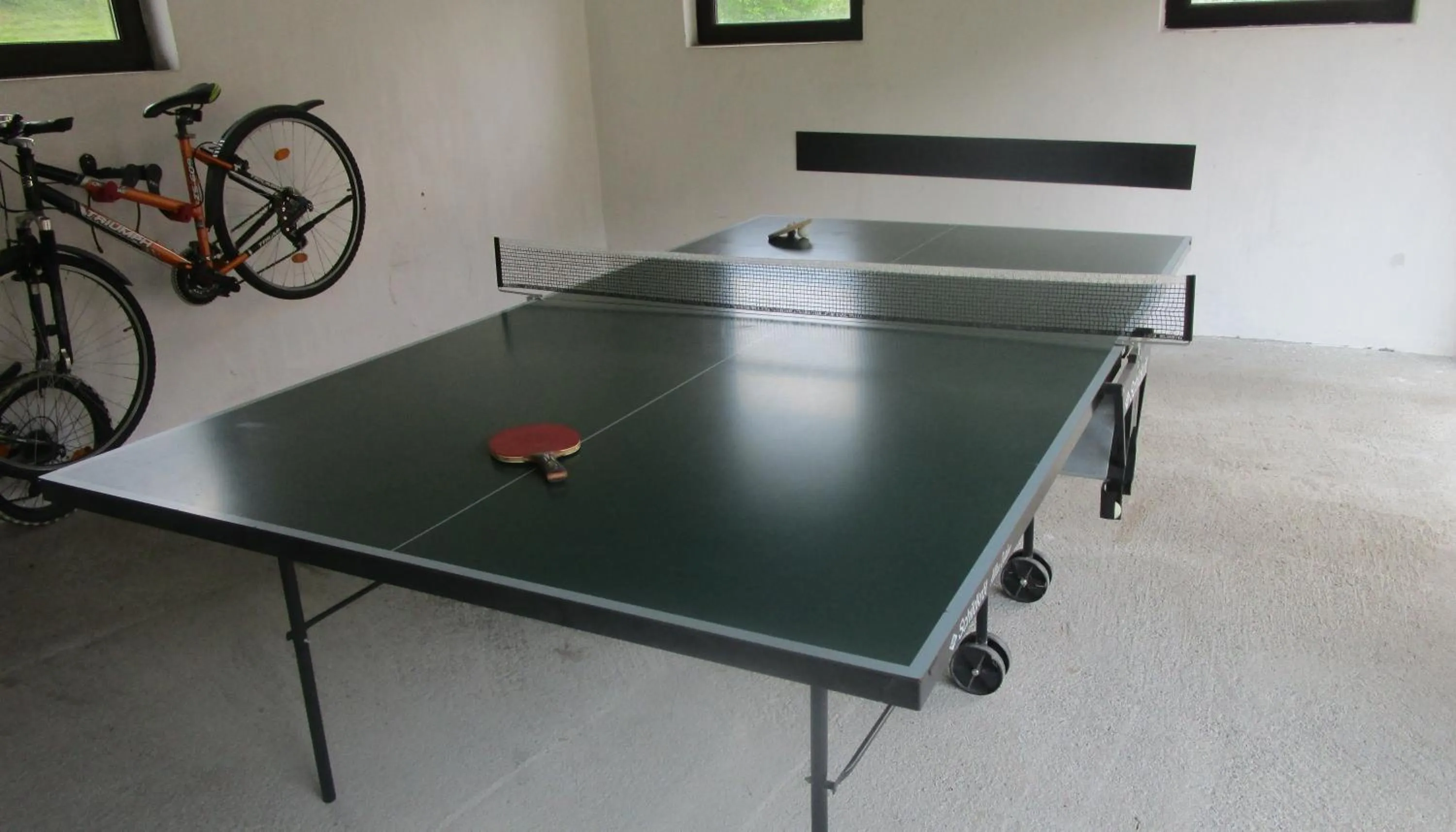 Table tennis in Haus Elena