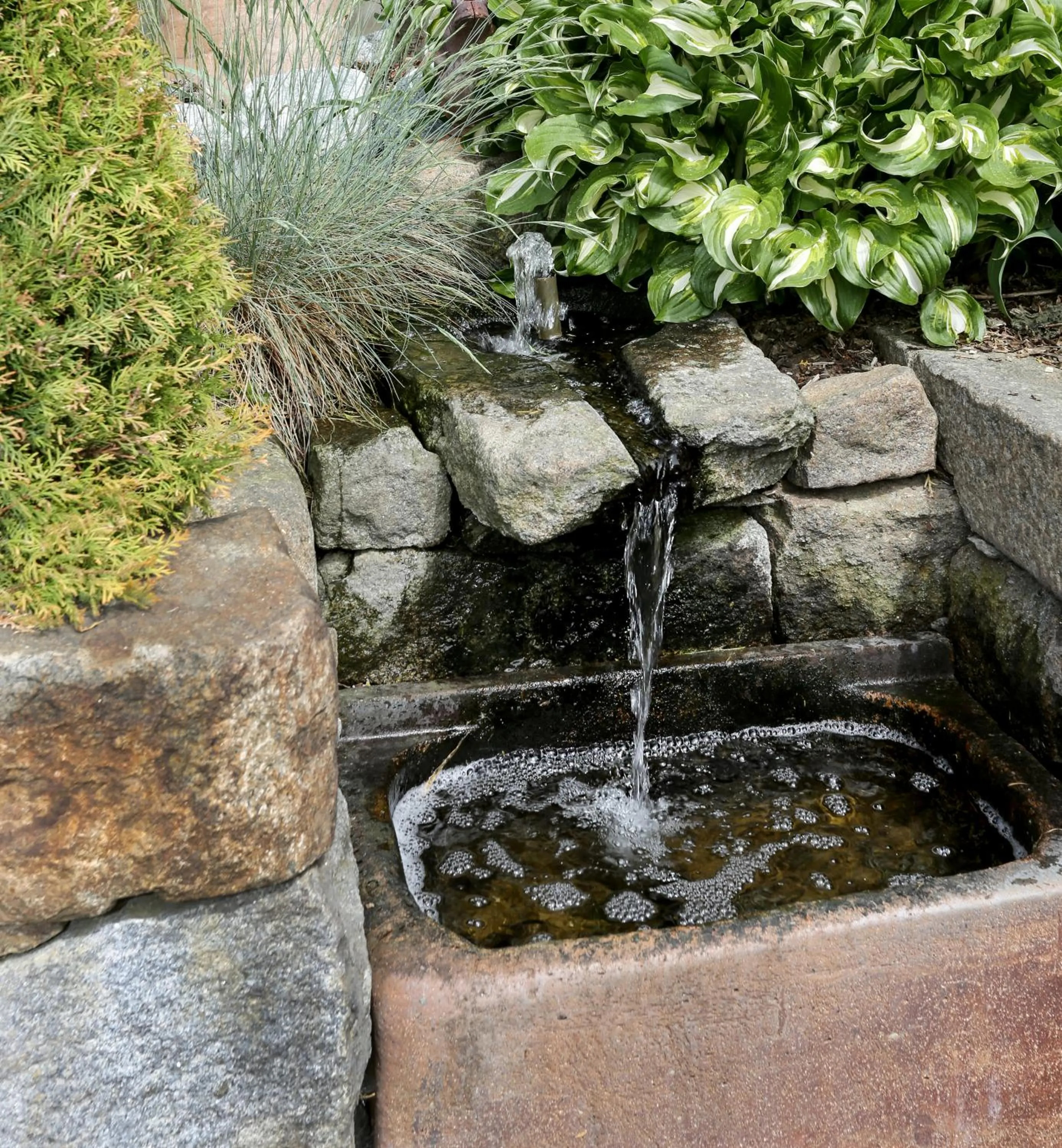 Garden in Landhotel Thürmchen