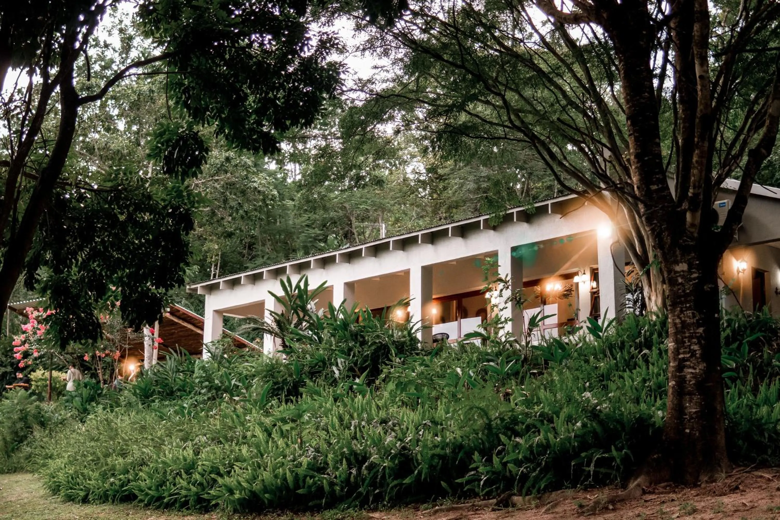 Bushbaby Valley Lodge