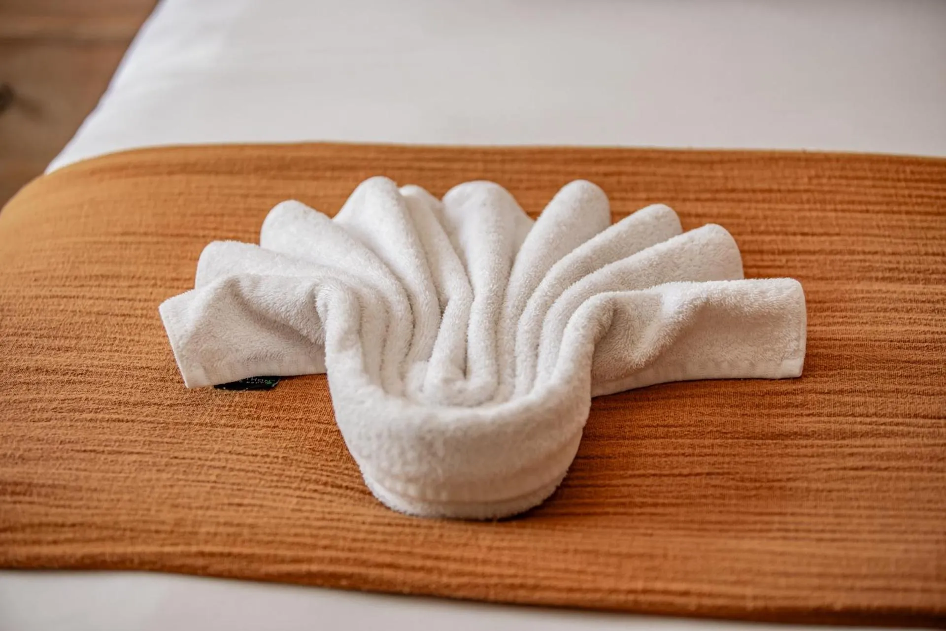 Bushbaby Valley Lodge