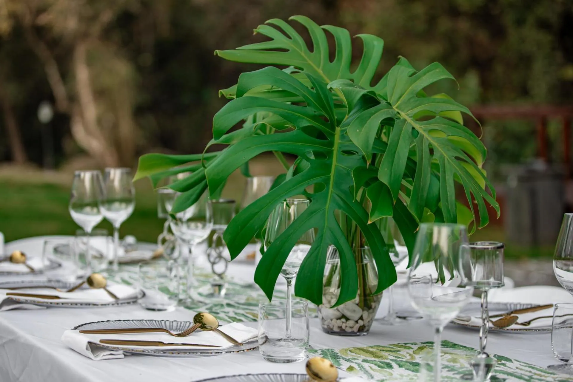 Bushbaby Valley Lodge